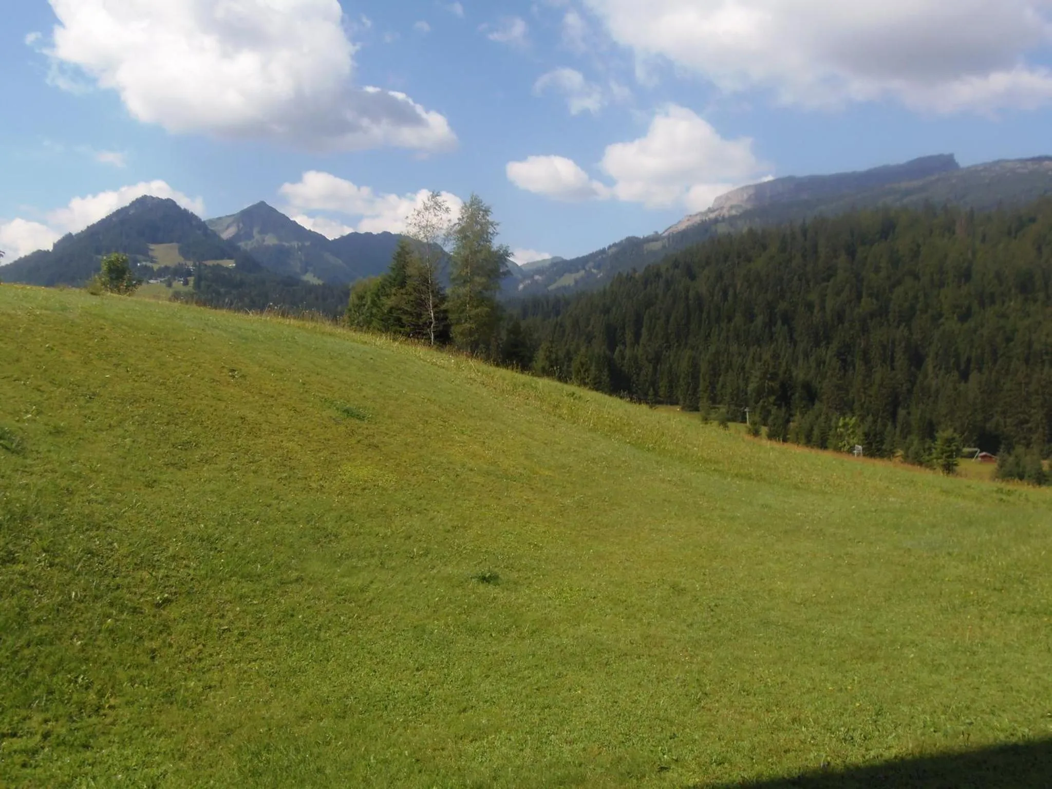 Summer in Gästehaus Boersch