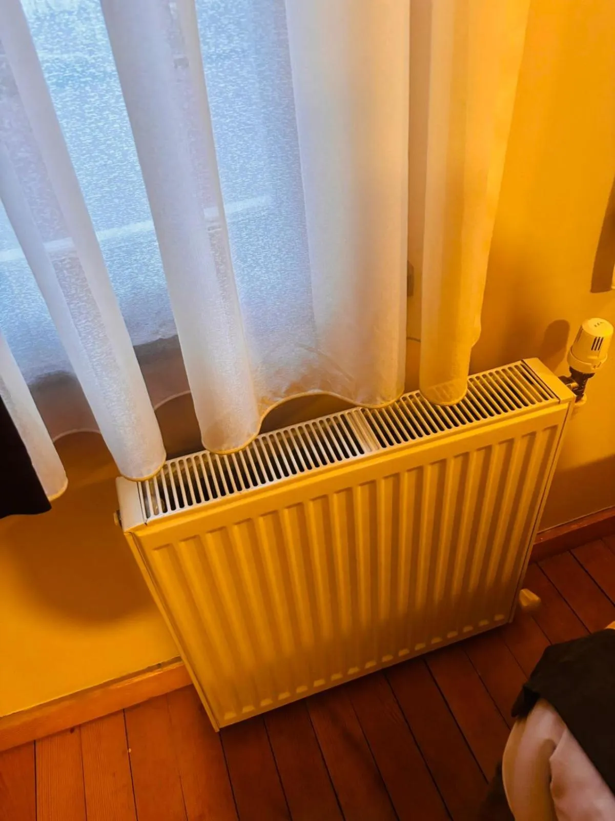 internet in Lebon Hotel-Special Class