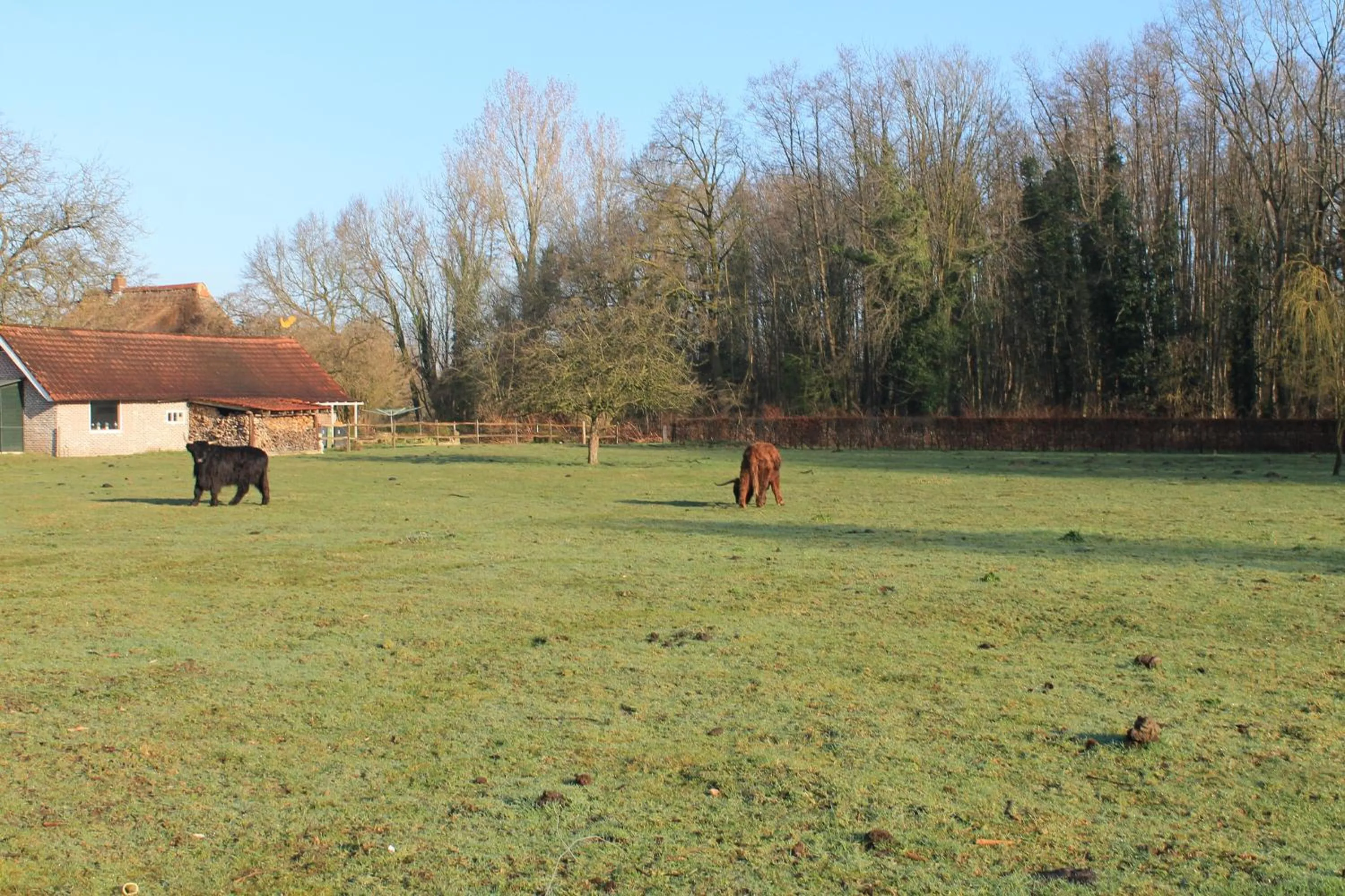 Property building in Gastenverblijf Peppelmate