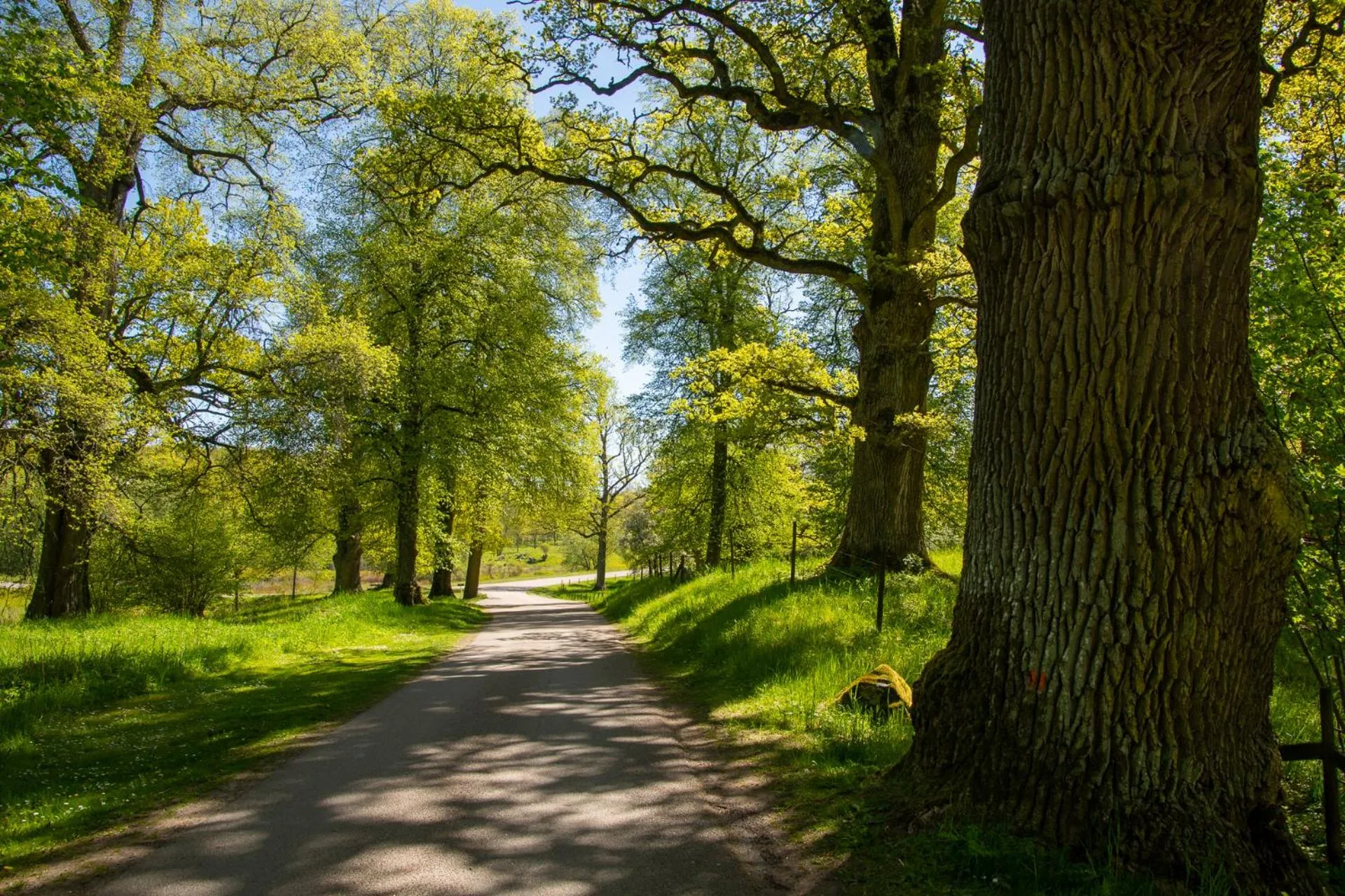Natural landscape in Villa Baro