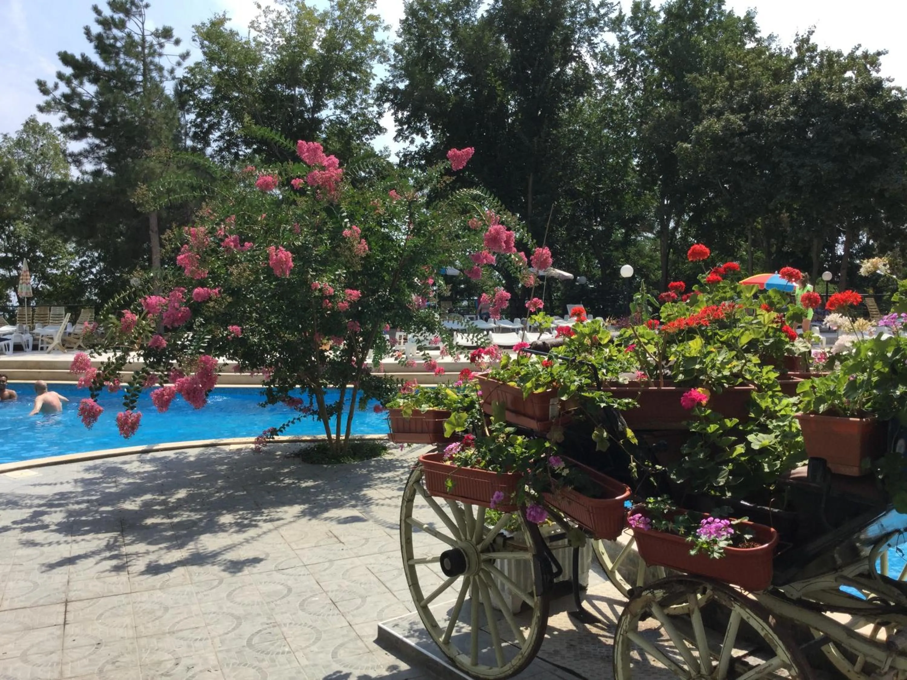 Spring in Park Hotel Briz - All Inclusive & Free Parking