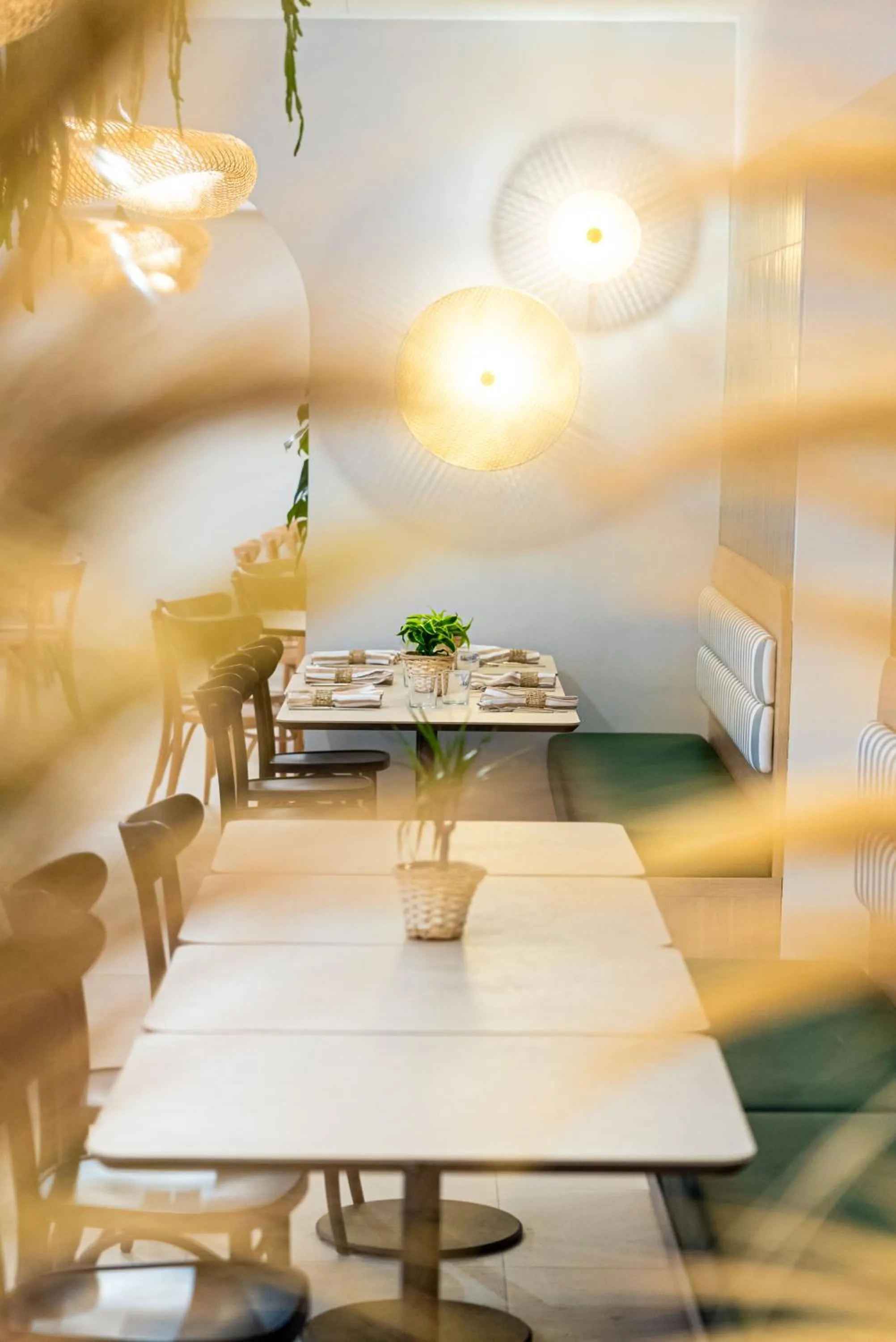 Restaurant/places to eat in Hotel Estense