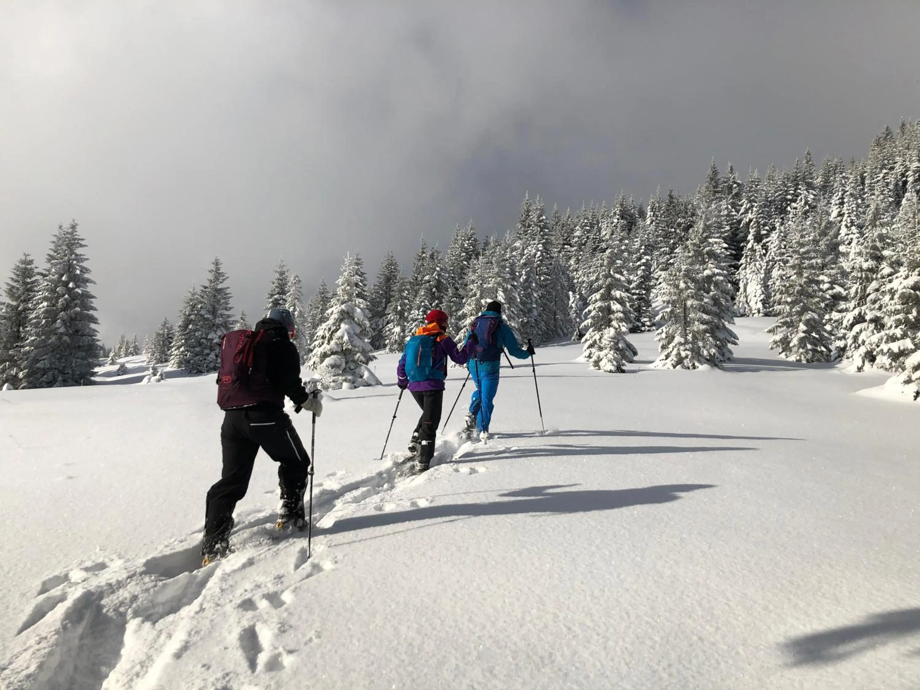 Winter in Hotel-Garni Kalkbrennerhof