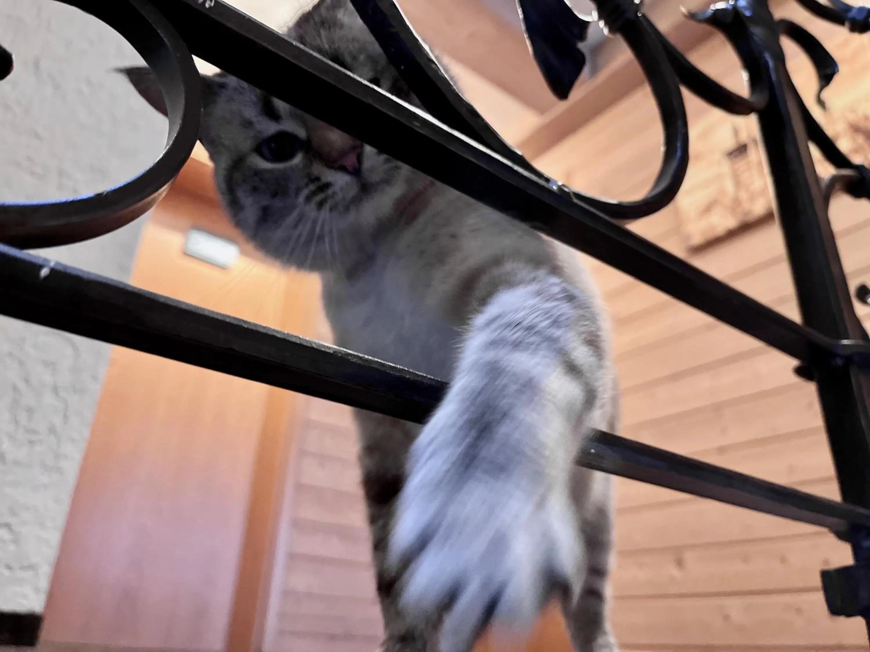 Property building in Hotel-Garni Kalkbrennerhof