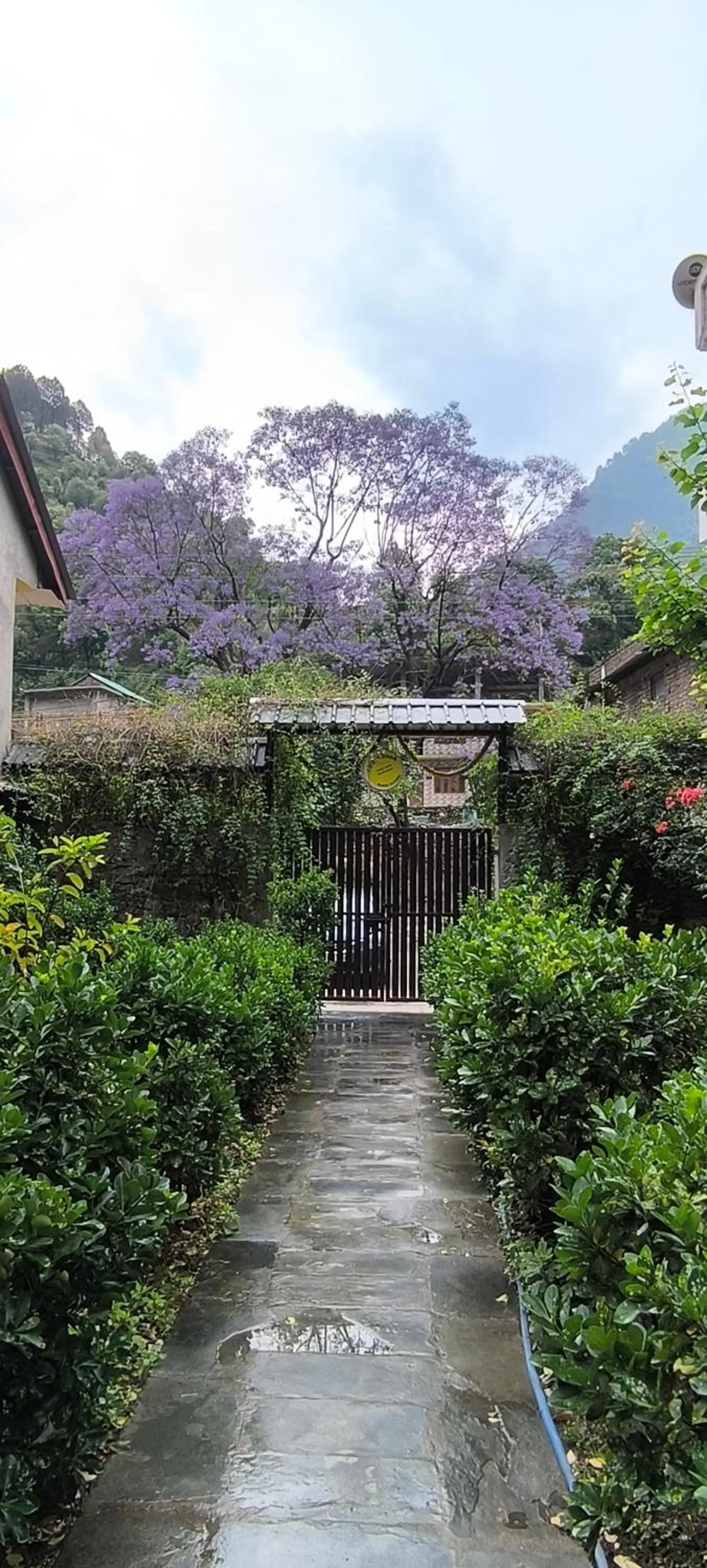 Garden in Tirthan Grand Riverside