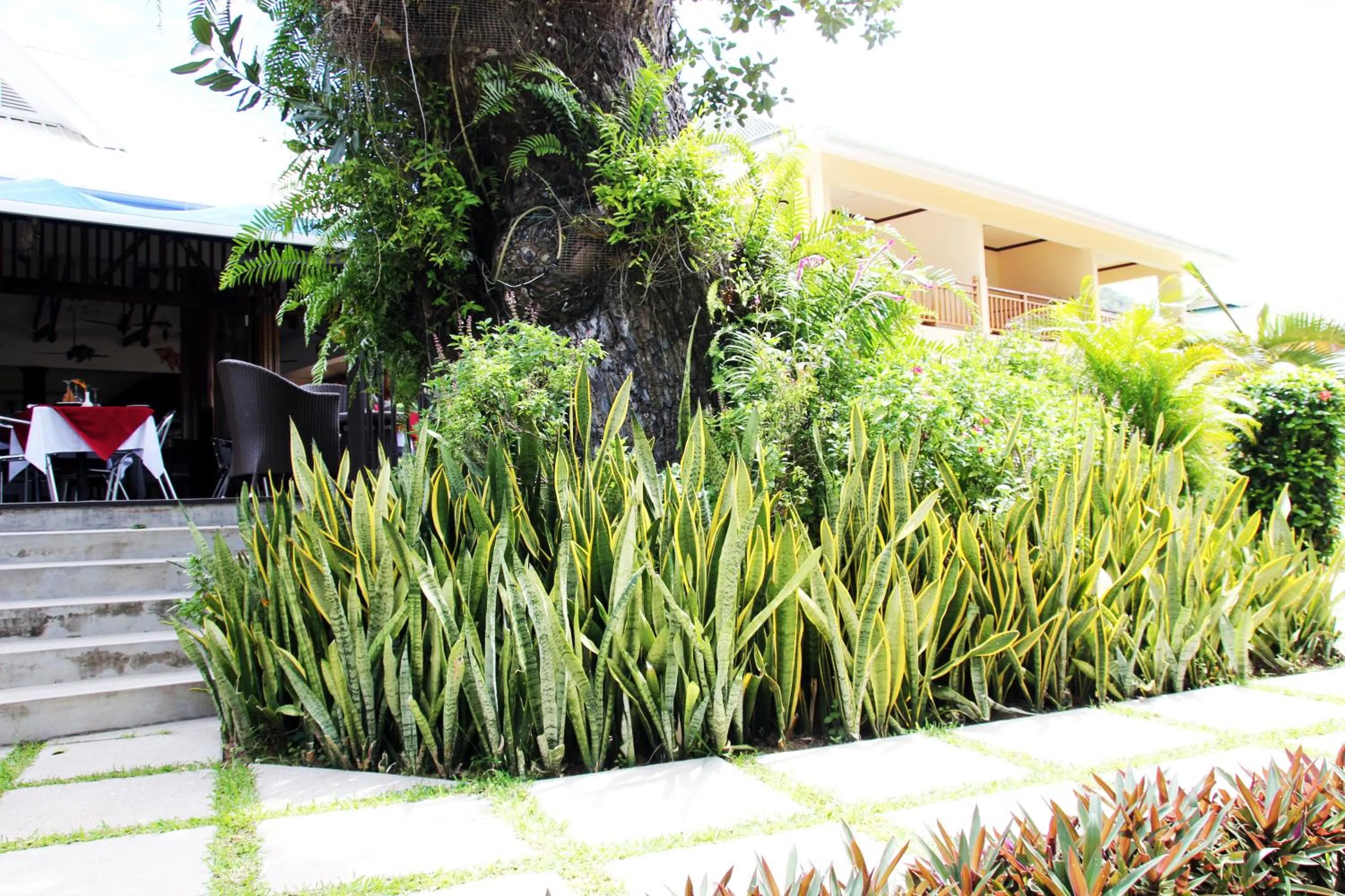 Facade/entrance in Pirogue Lodge