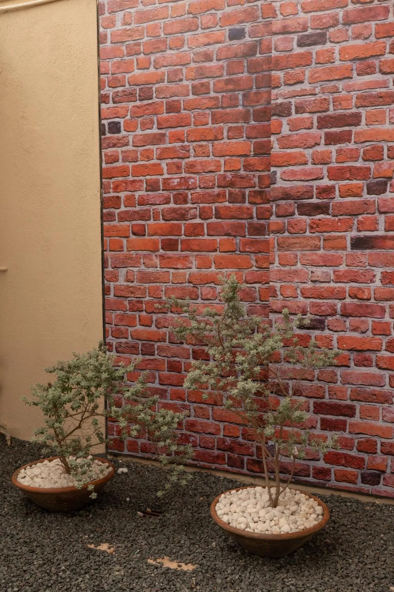 Swimming pool in Imperial Hotel