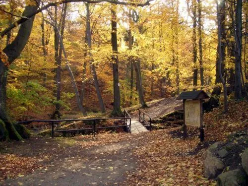 Autumn in Kurpark Flair Hotel Im Ilsetal