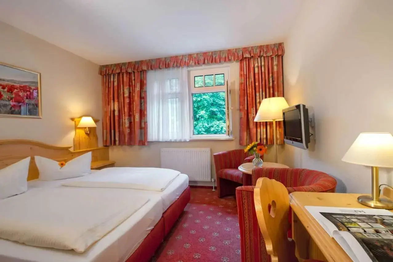 Double Room in Kurpark Flair Hotel Im Ilsetal Double Room in Kurpark Flair Hotel Im Ilsetal