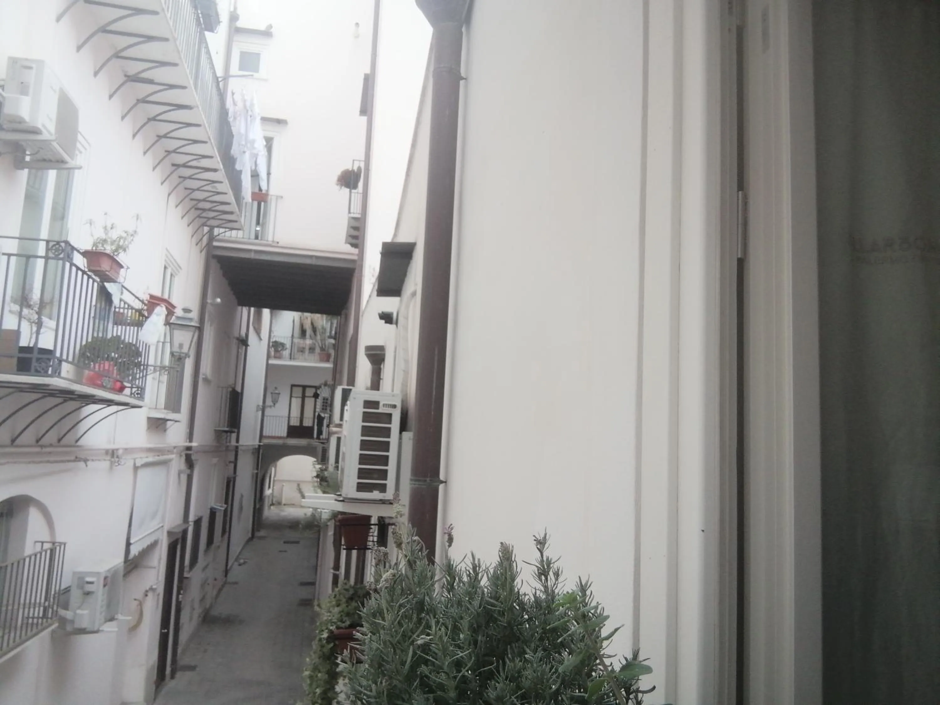 View (from property/room) in Ballarooms B&B Palermo Centro