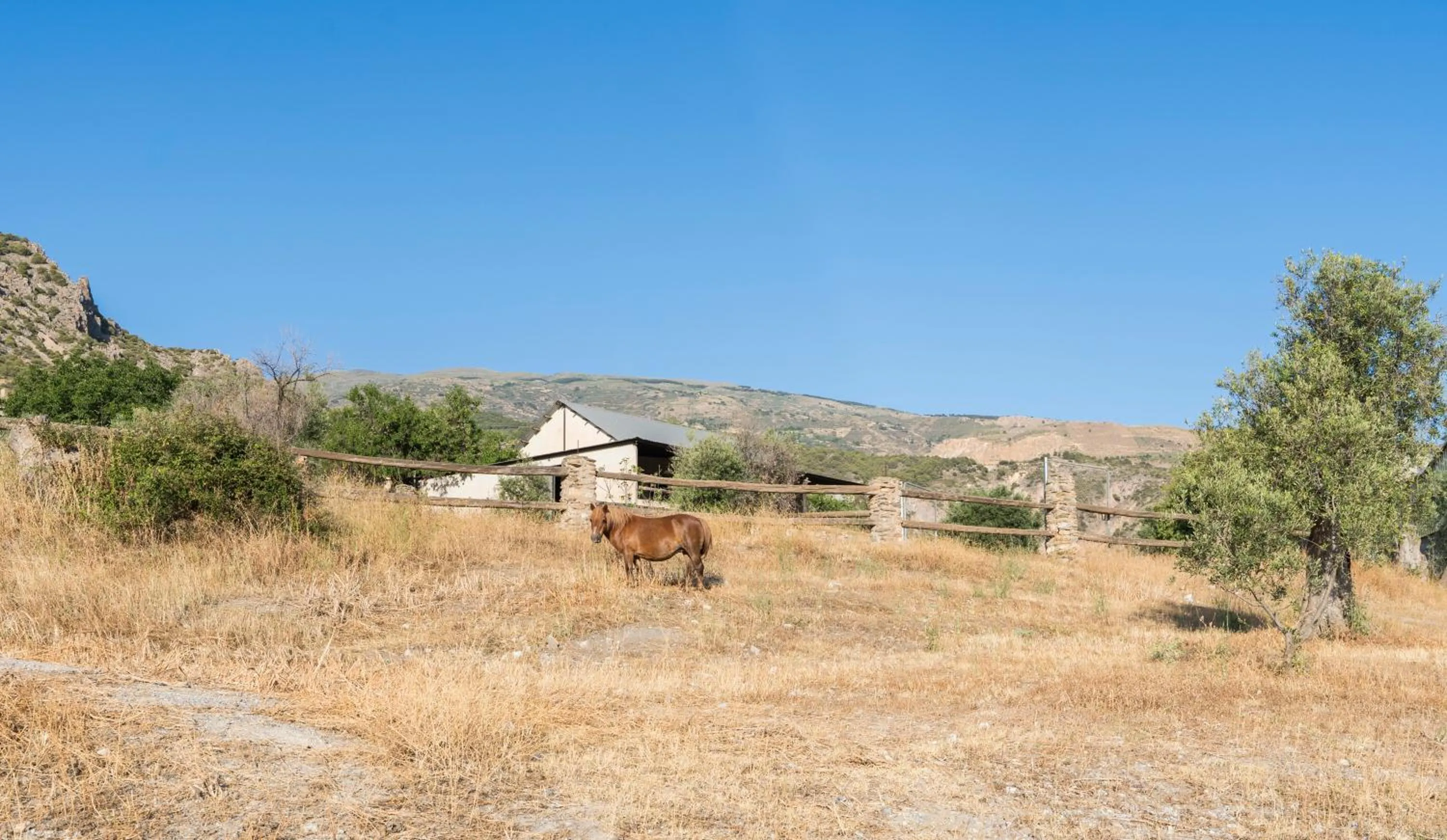 Garden in Hotel Rural Alqueria de los lentos