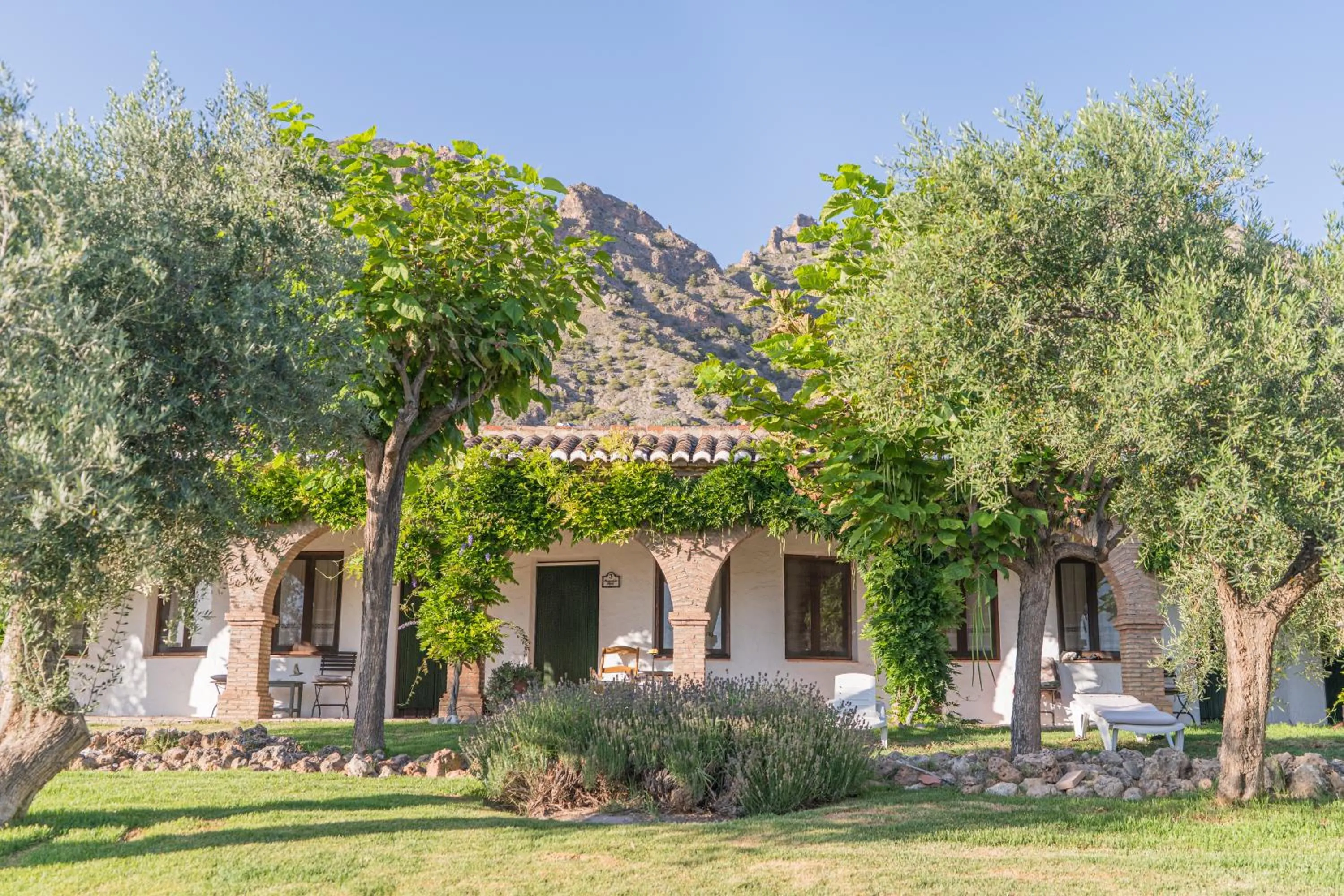 Garden in Hotel Rural Alqueria de los lentos