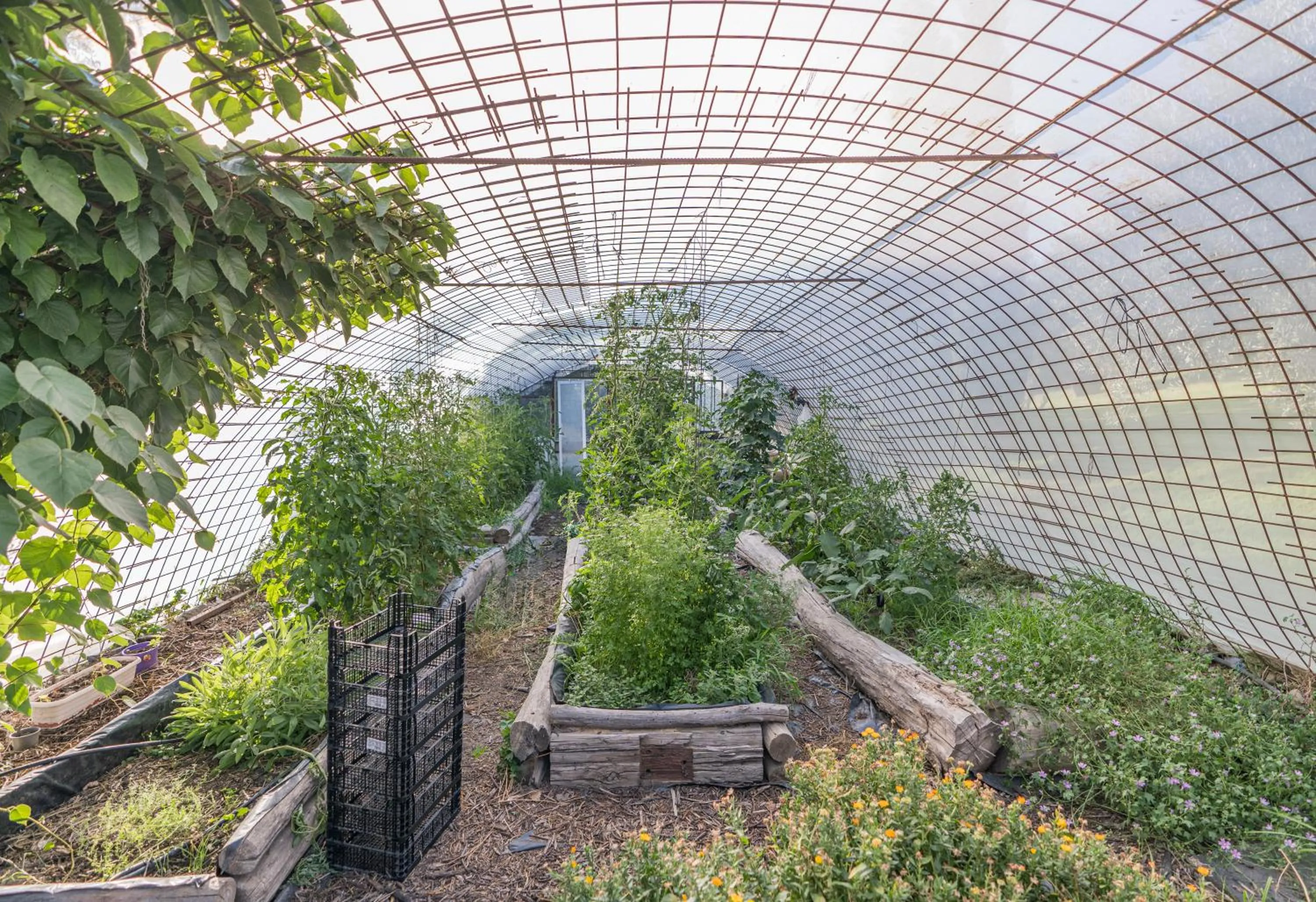 Garden in Hotel Rural Alqueria de los lentos