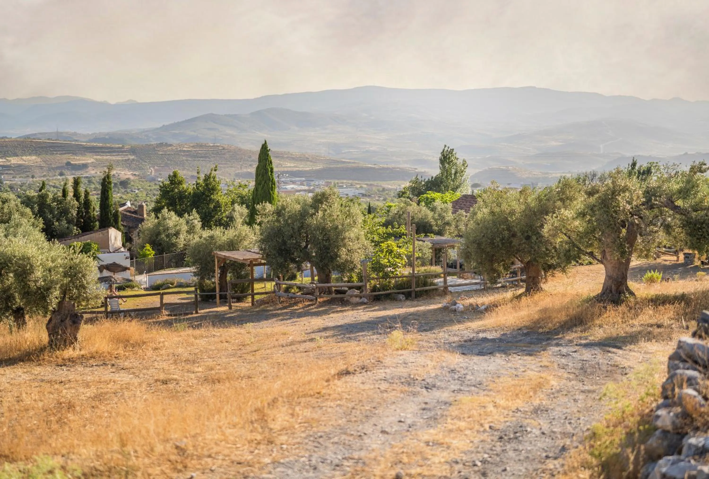 Garden in Hotel Rural Alqueria de los lentos