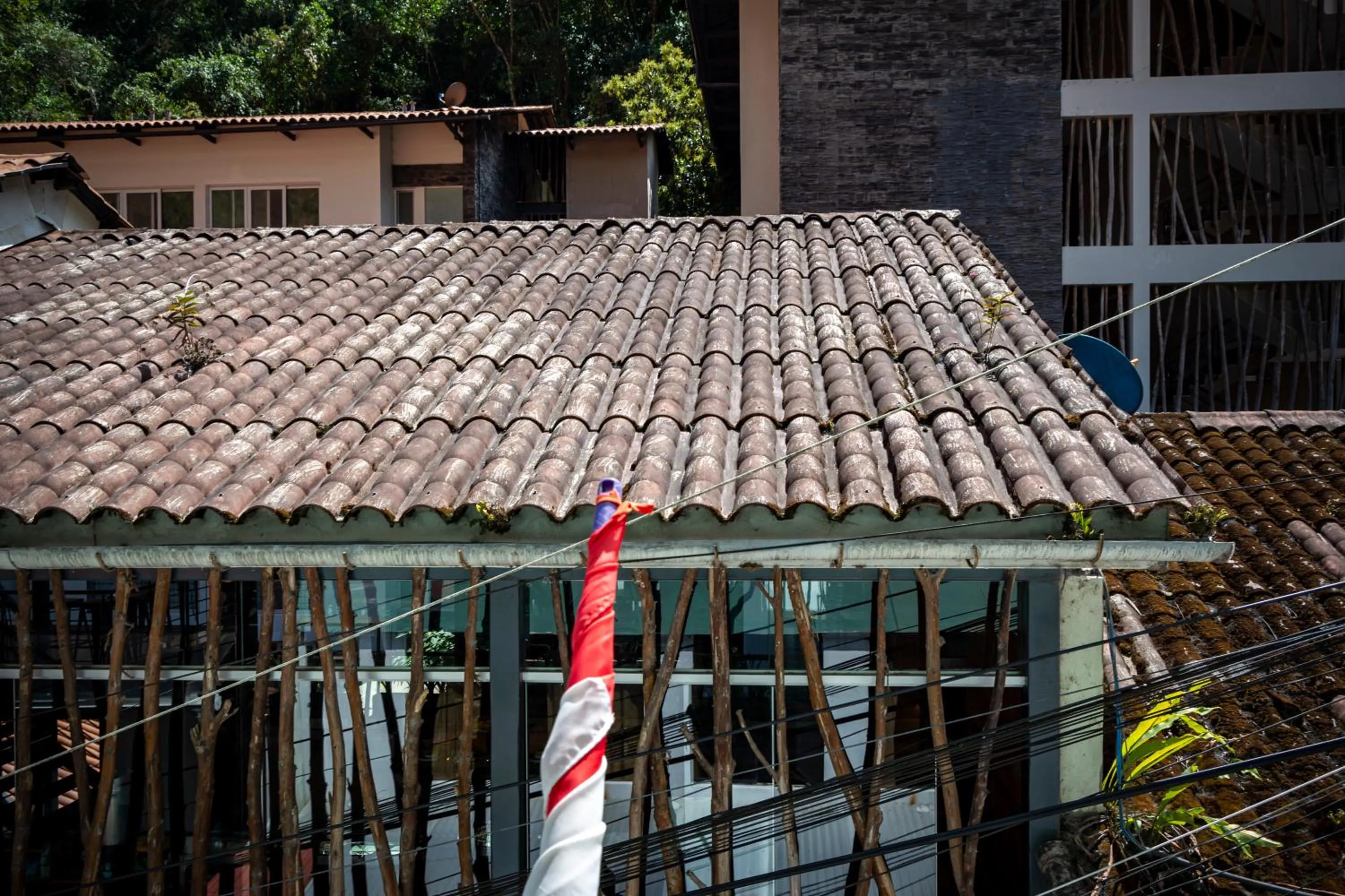 Day in Don Feli House