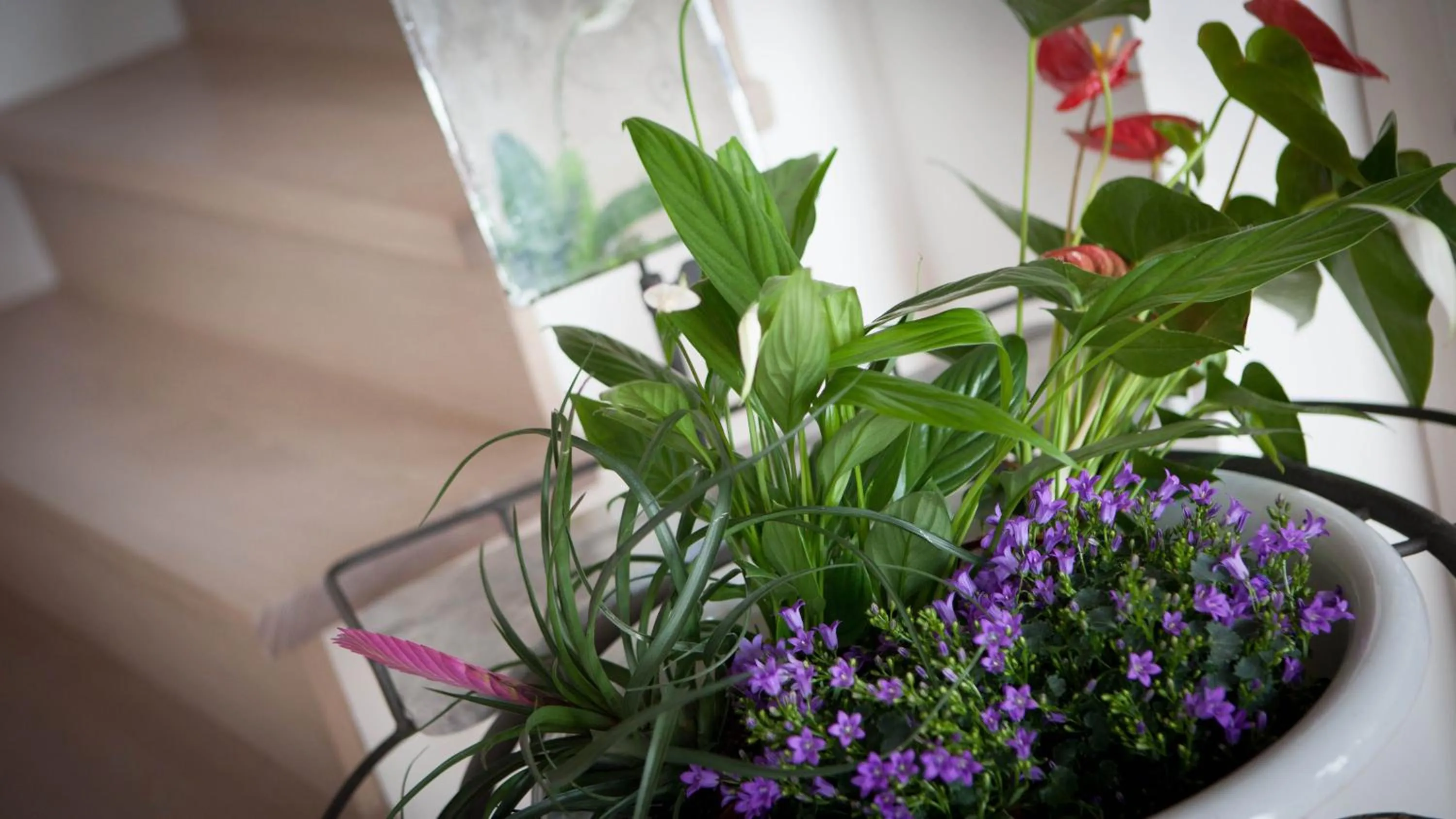 Decorative detail in B&b Hobo