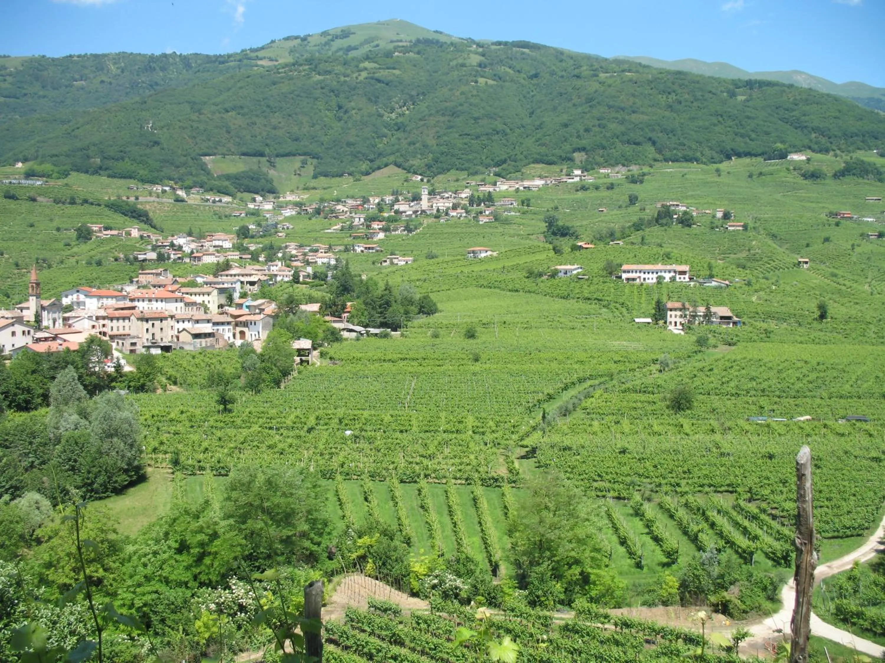 View (from property/room) in La Casa Vecchia