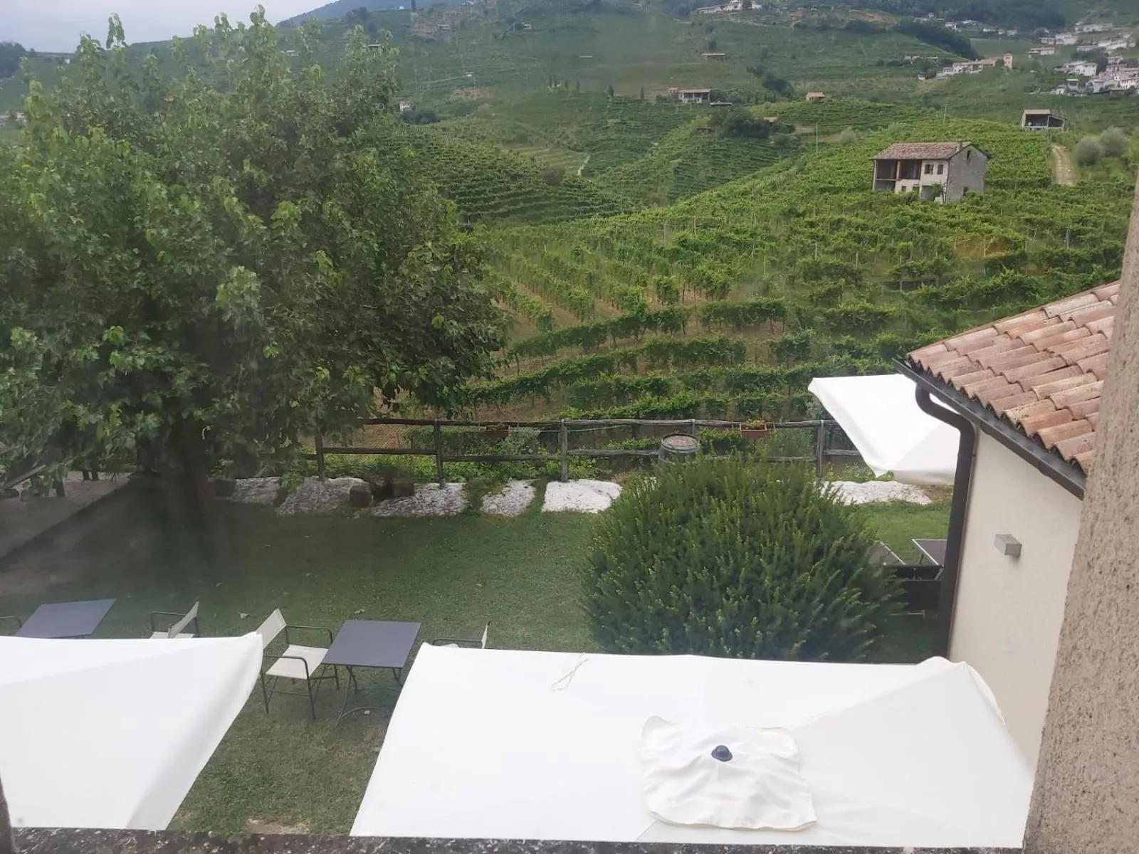 View (from property/room) in La Casa Vecchia