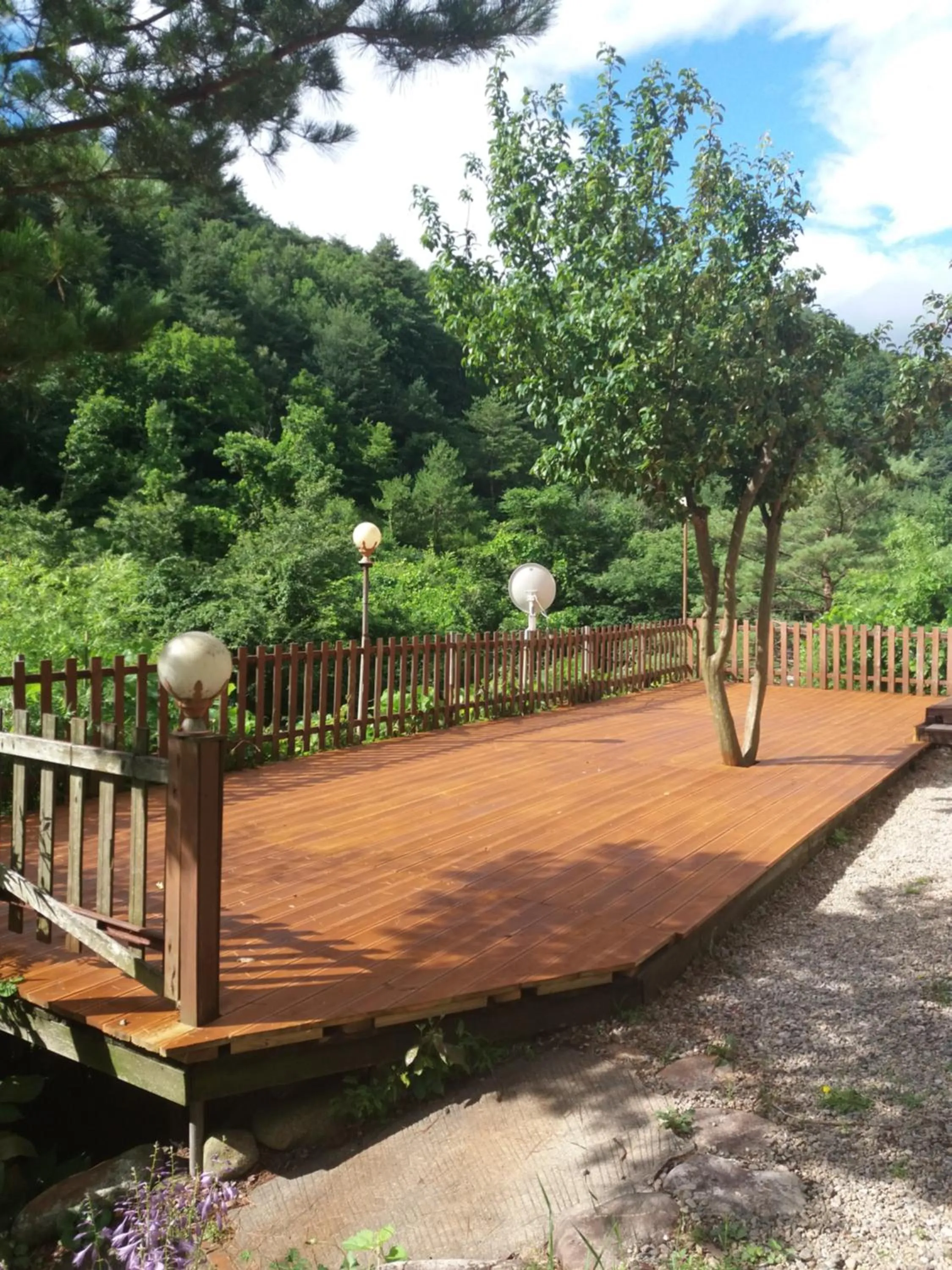 Garden in Dasanbang Pension