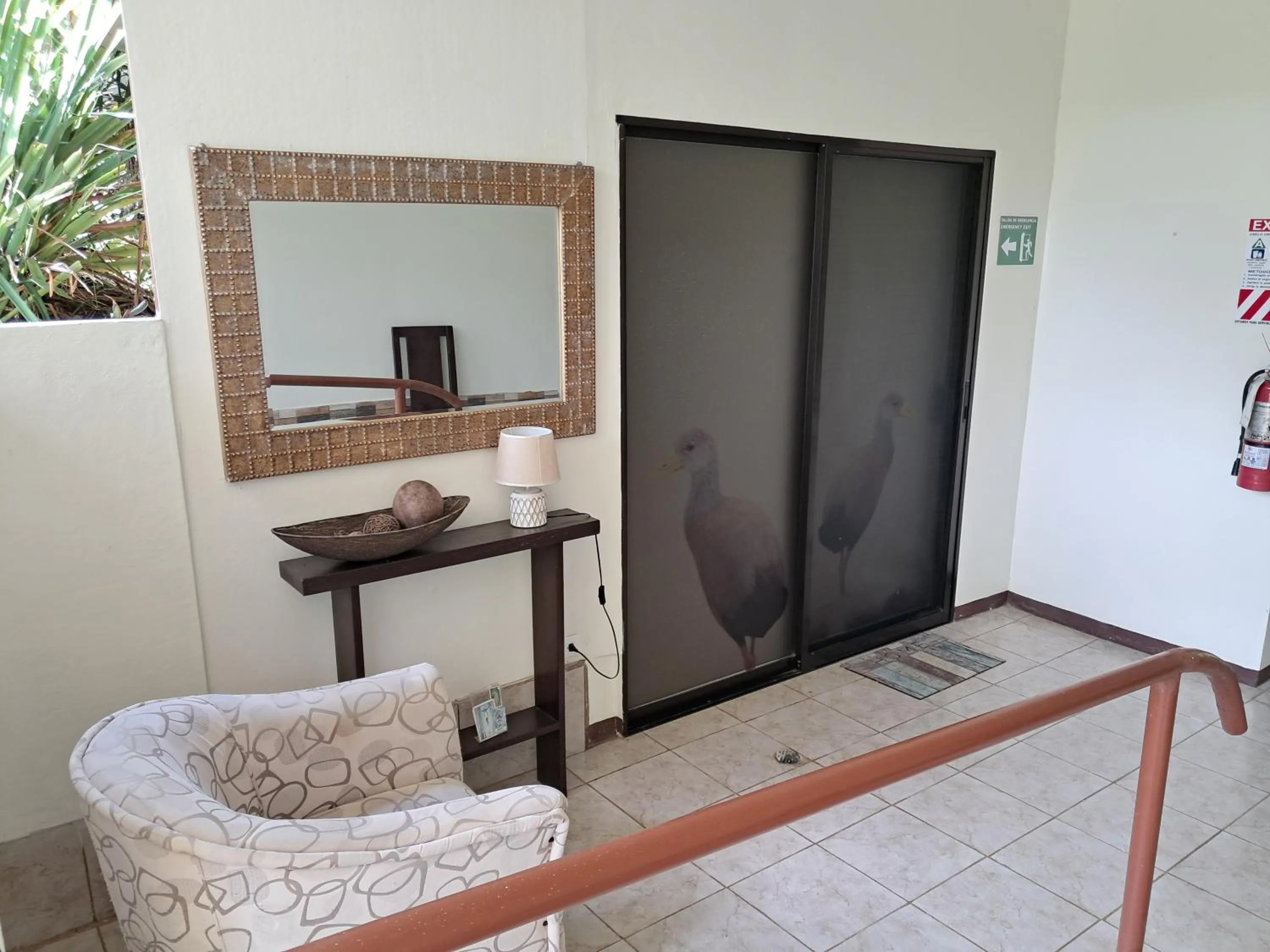 Hotel San Rafael Ecolodge