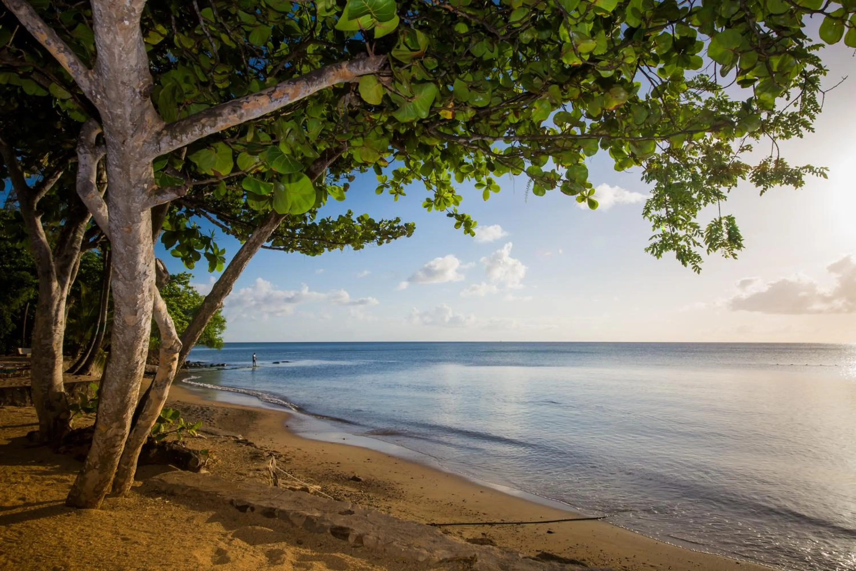 Sea view in East Winds St. Lucia- All Inclusive
