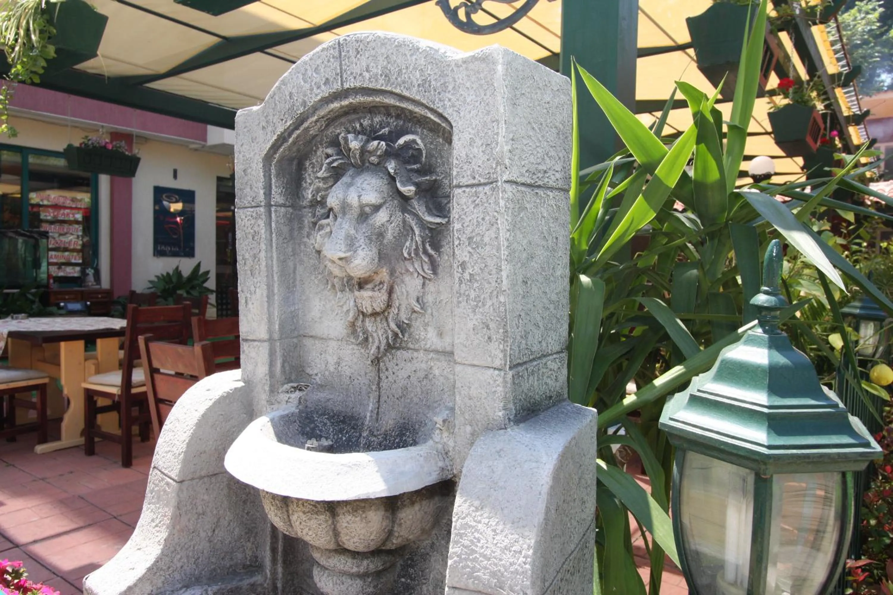 Restaurant/places to eat in Tanya Hotel