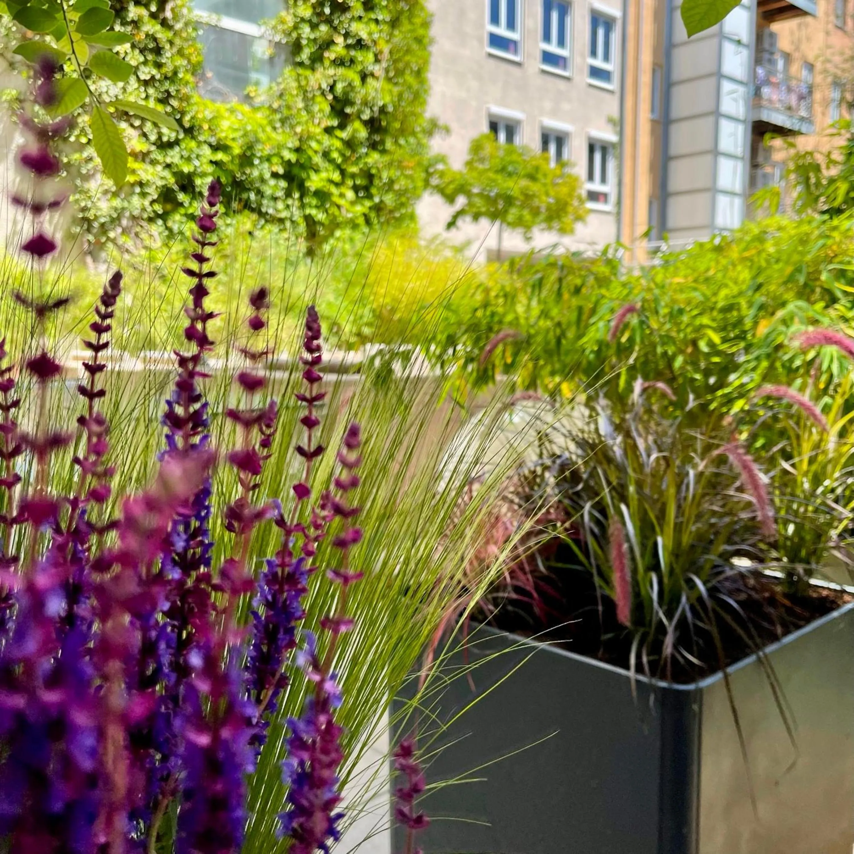 Garden in Boutique Hotel Atrium München