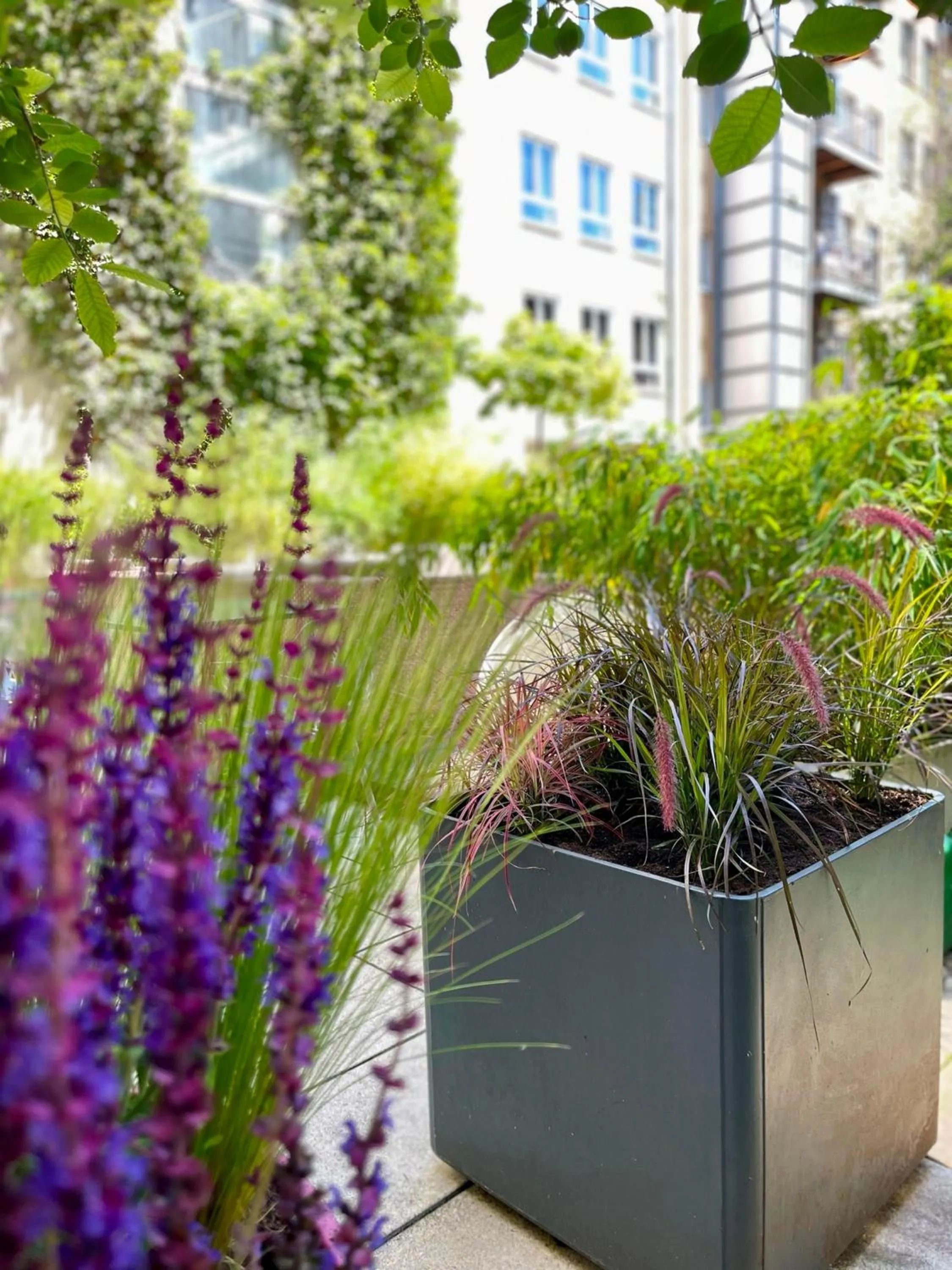 Garden in Boutique Hotel Atrium München
