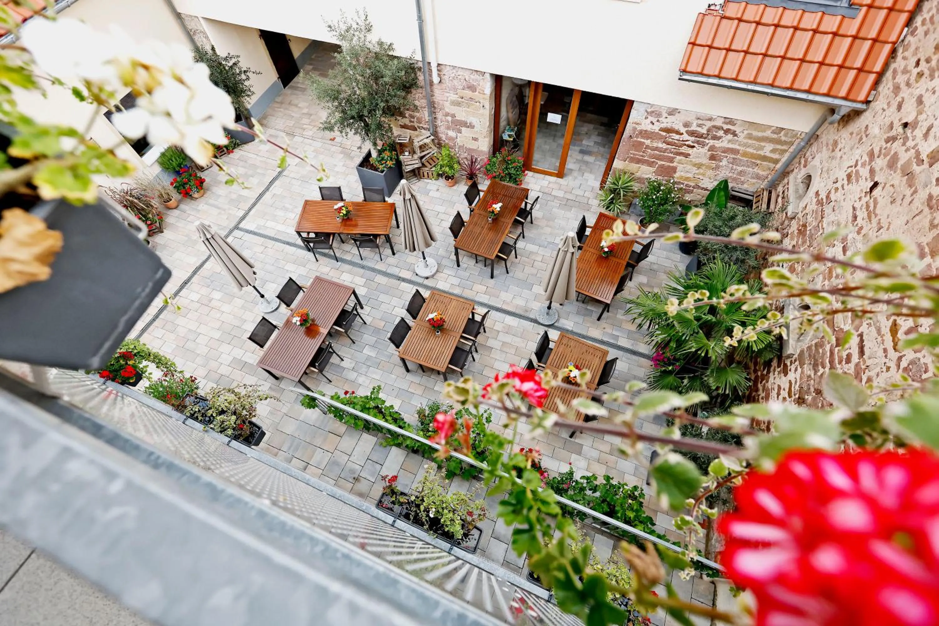 View (from property/room) in Vinotel Weinstrasse