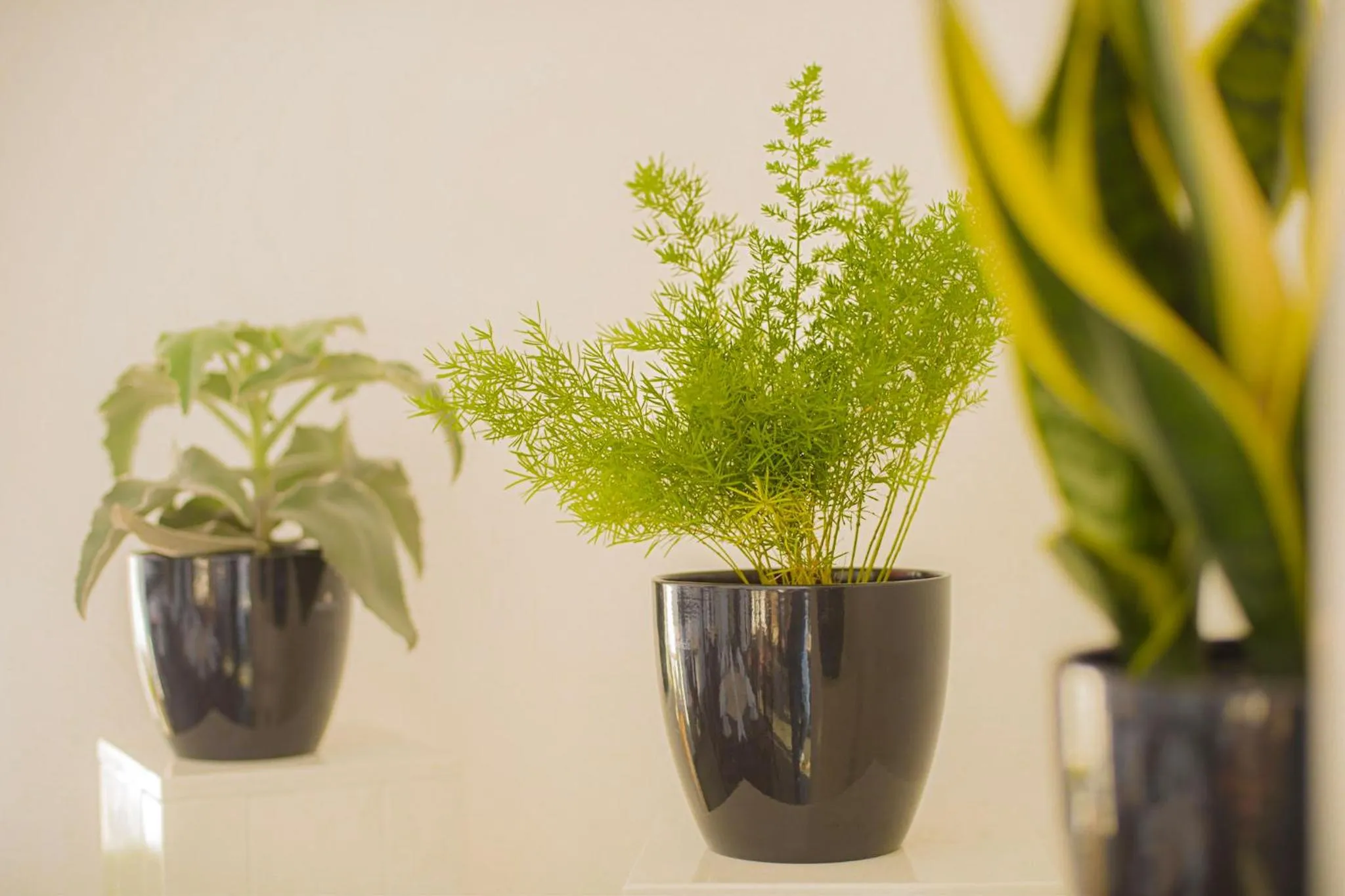 Business facilities in Hotel Am Tiefwarensee