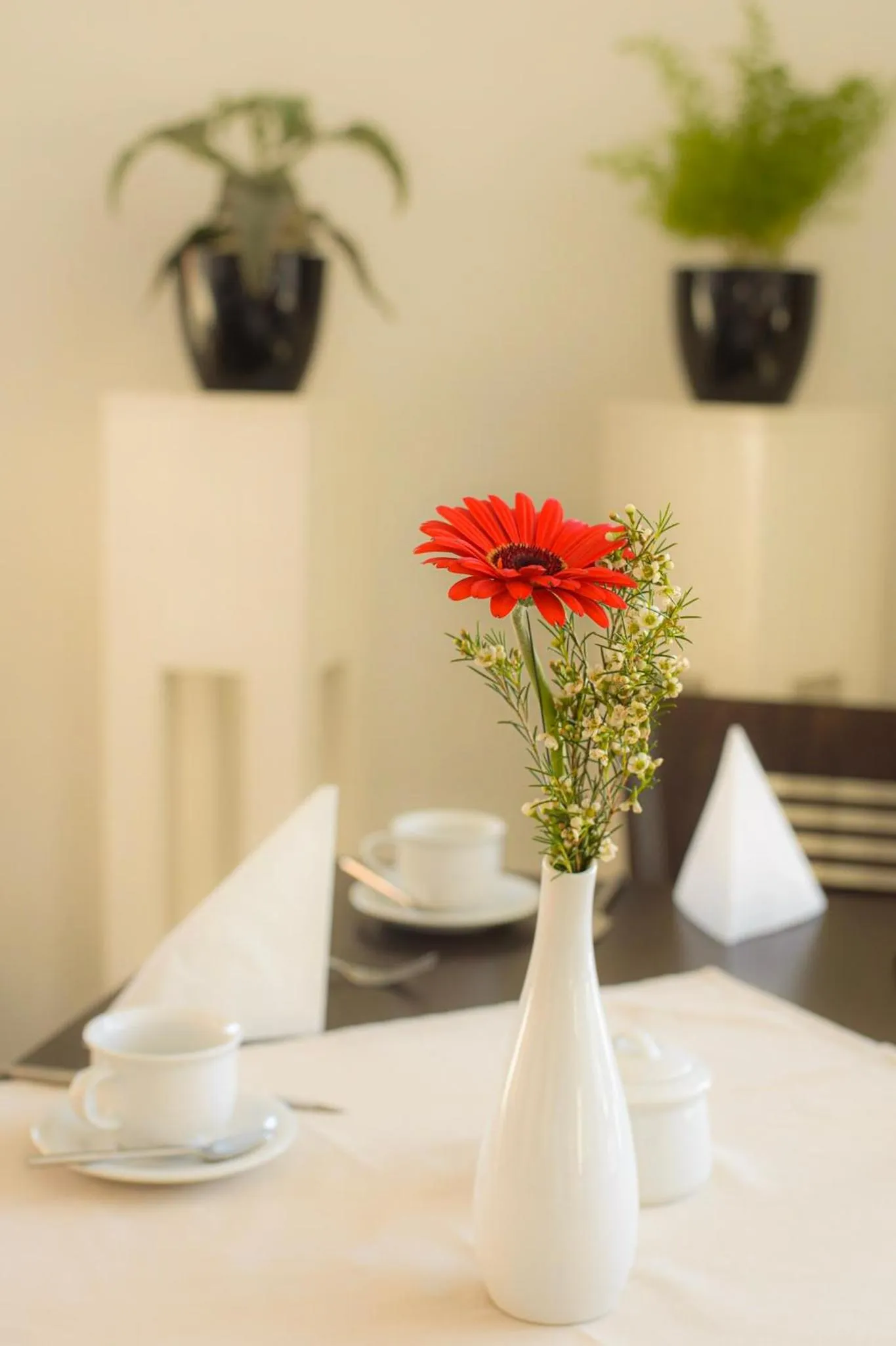 Restaurant/places to eat in Hotel Am Tiefwarensee