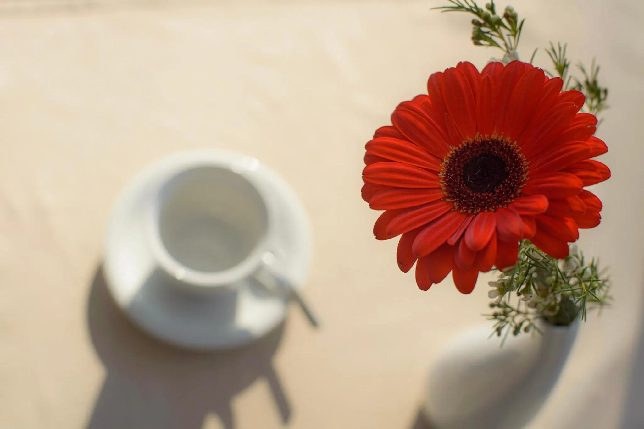 Restaurant/places to eat in Hotel Am Tiefwarensee