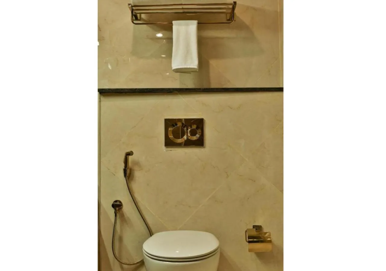 Toilet in Accord Chrome