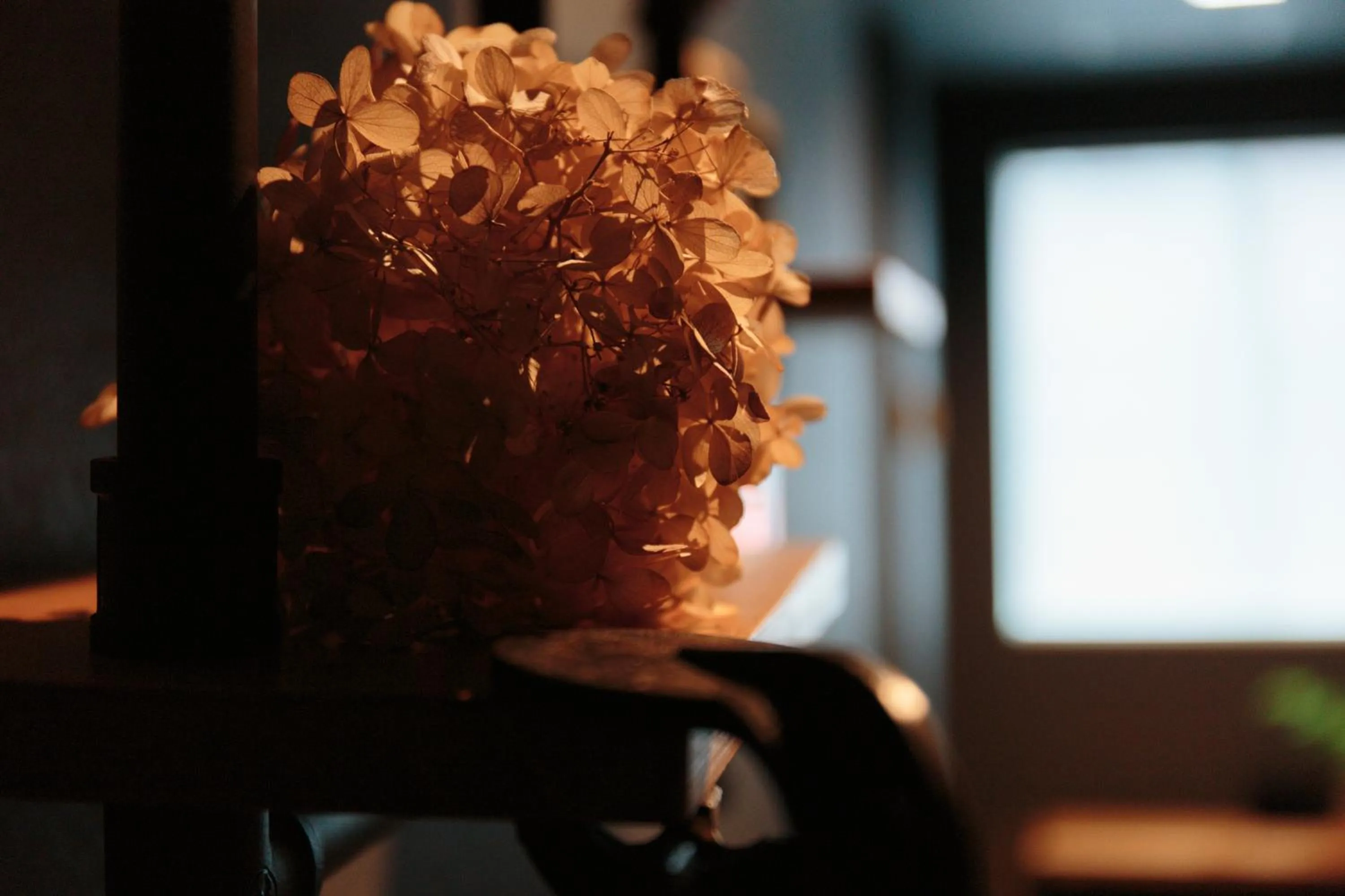 Lampstand STAY Asahikawa