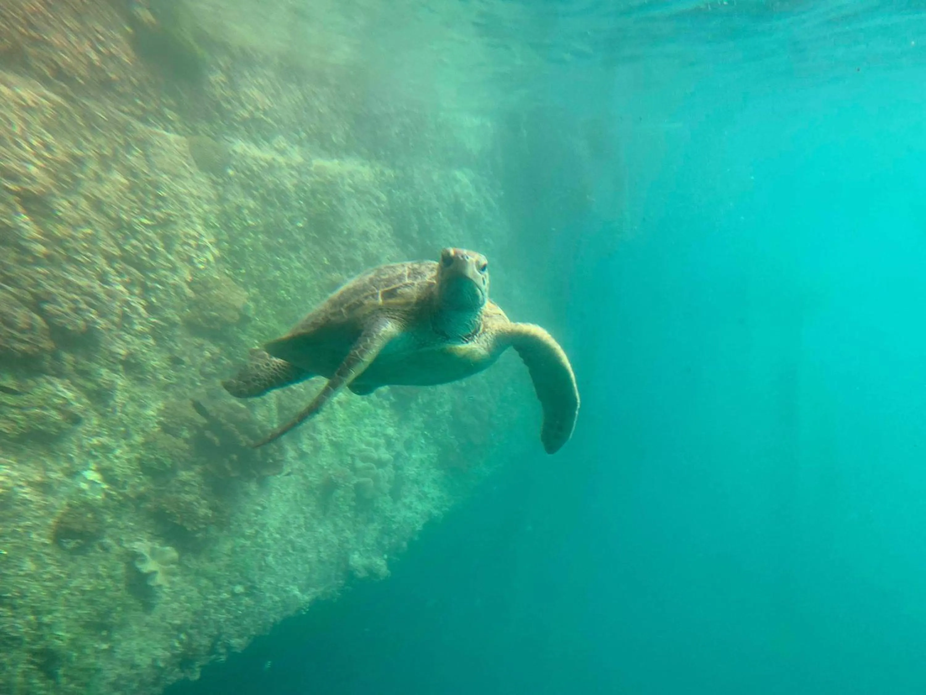 Activities in Island Views