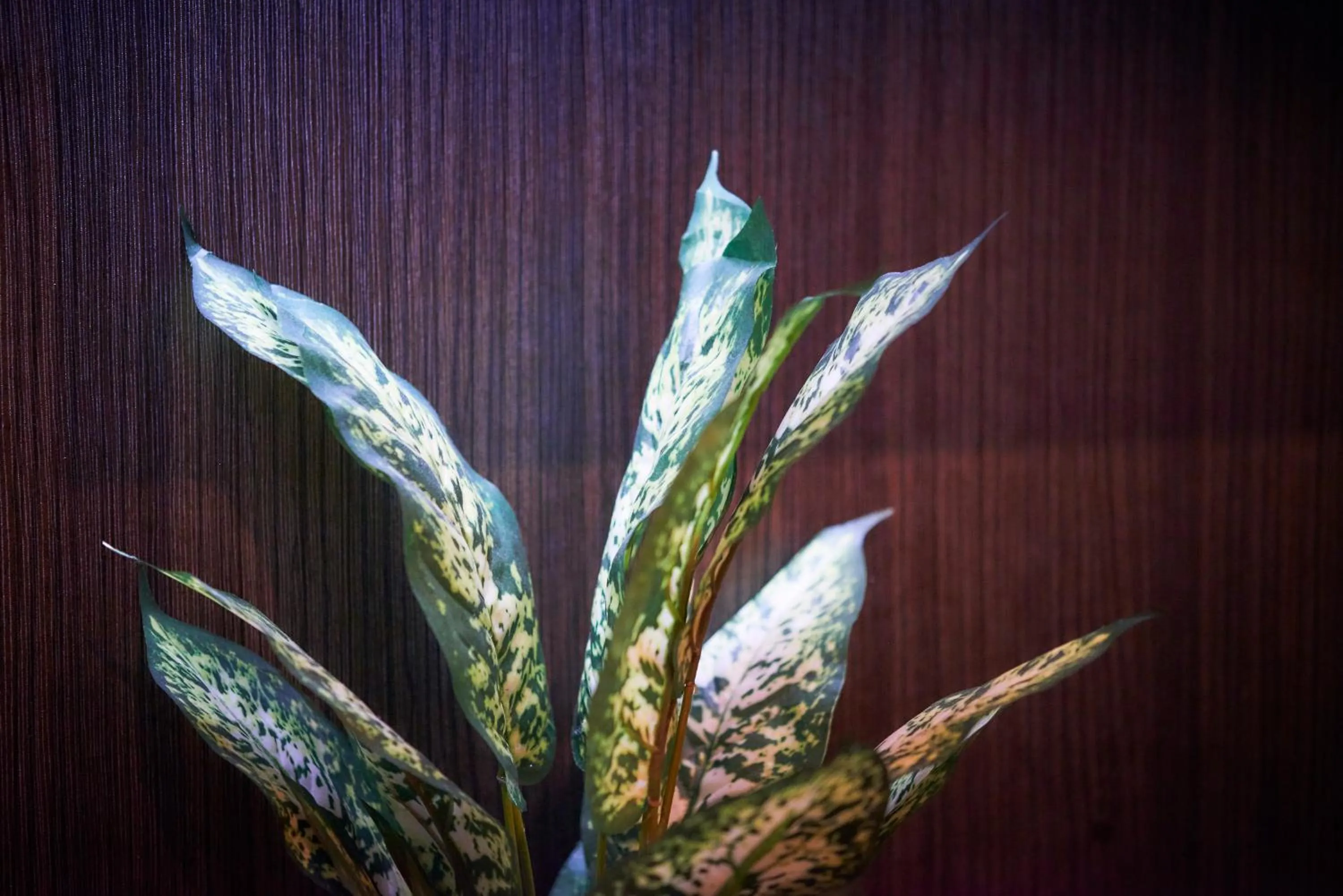 Photo of the whole room in S'CASA NishiShinjuku