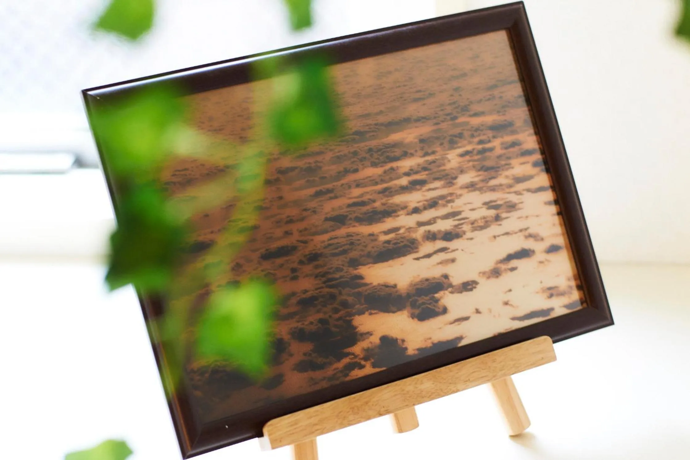 Photo of the whole room in S'CASA NishiShinjuku