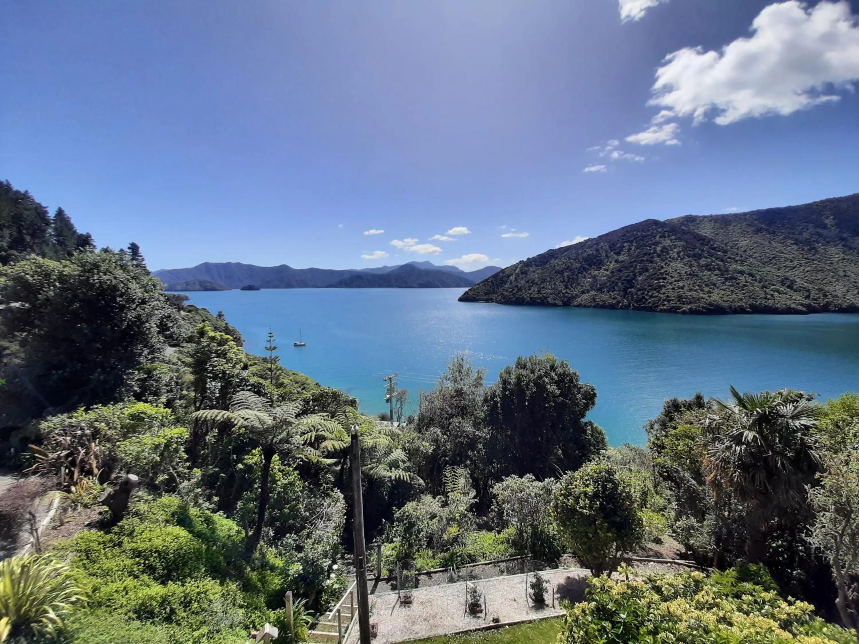 Garden view in A Sea View B&B