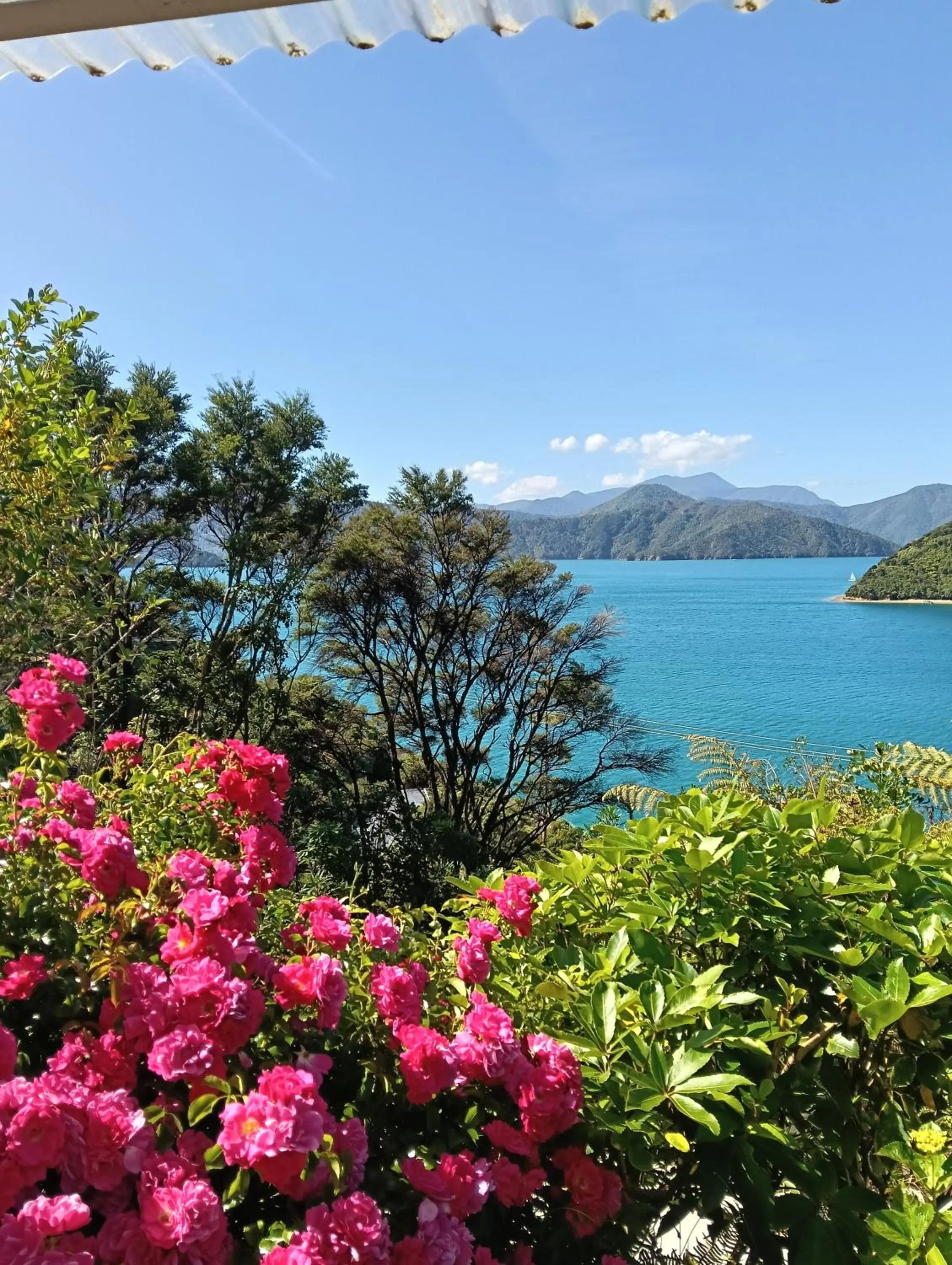 View (from property/room) in A Sea View B&B