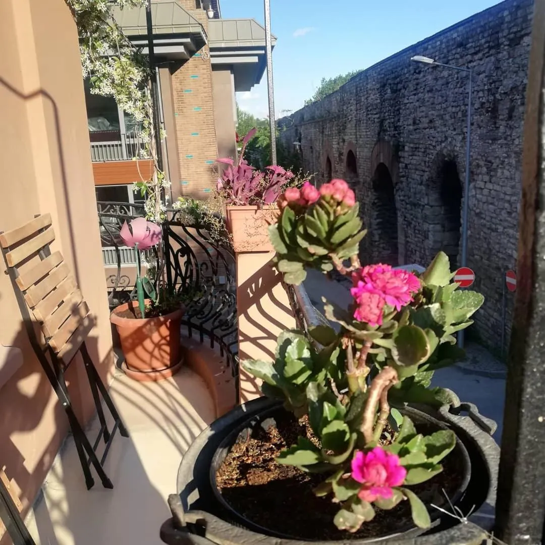 No 1 House By Valence