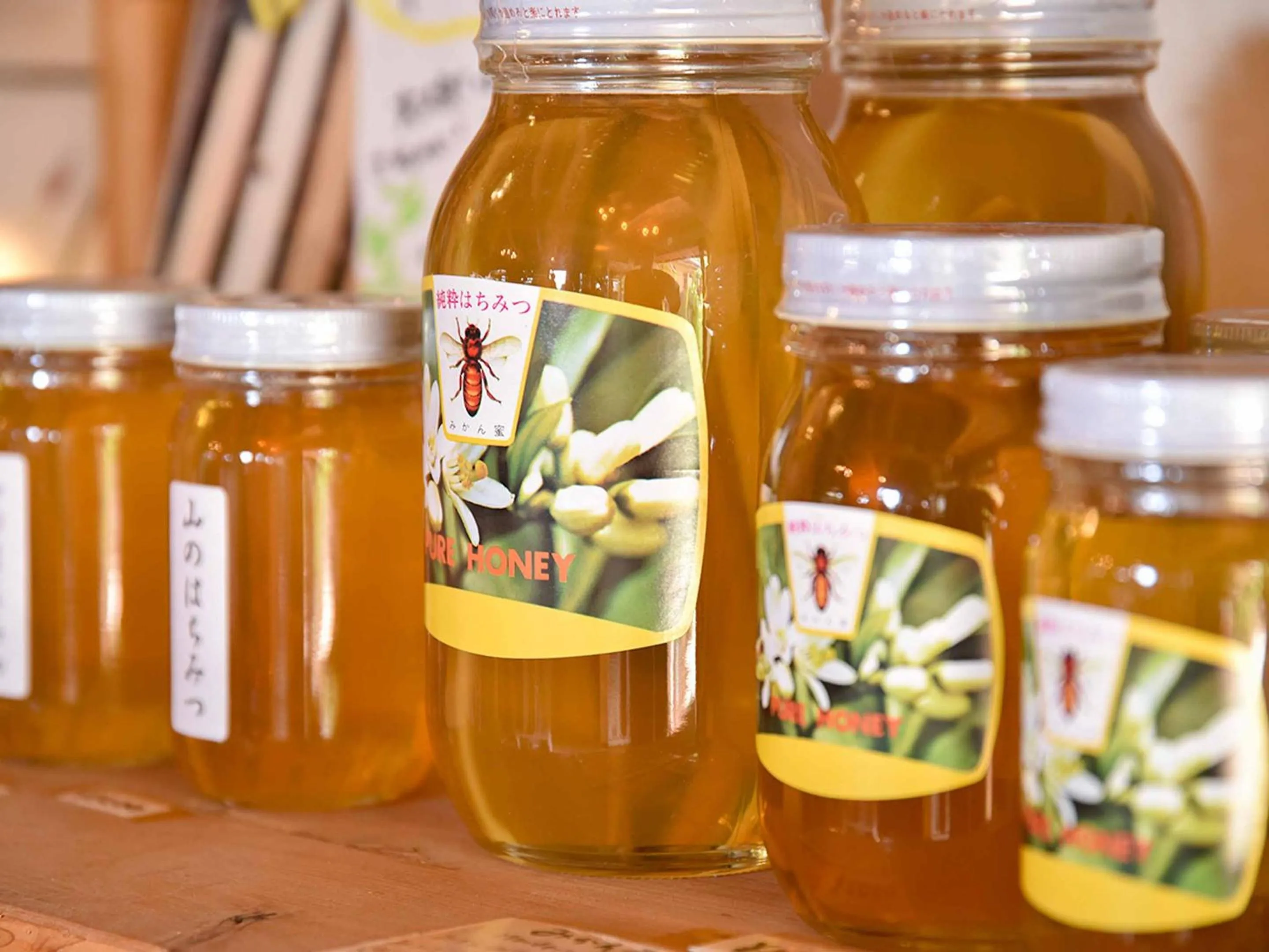 Lobby or reception in Kirinosato Takahara