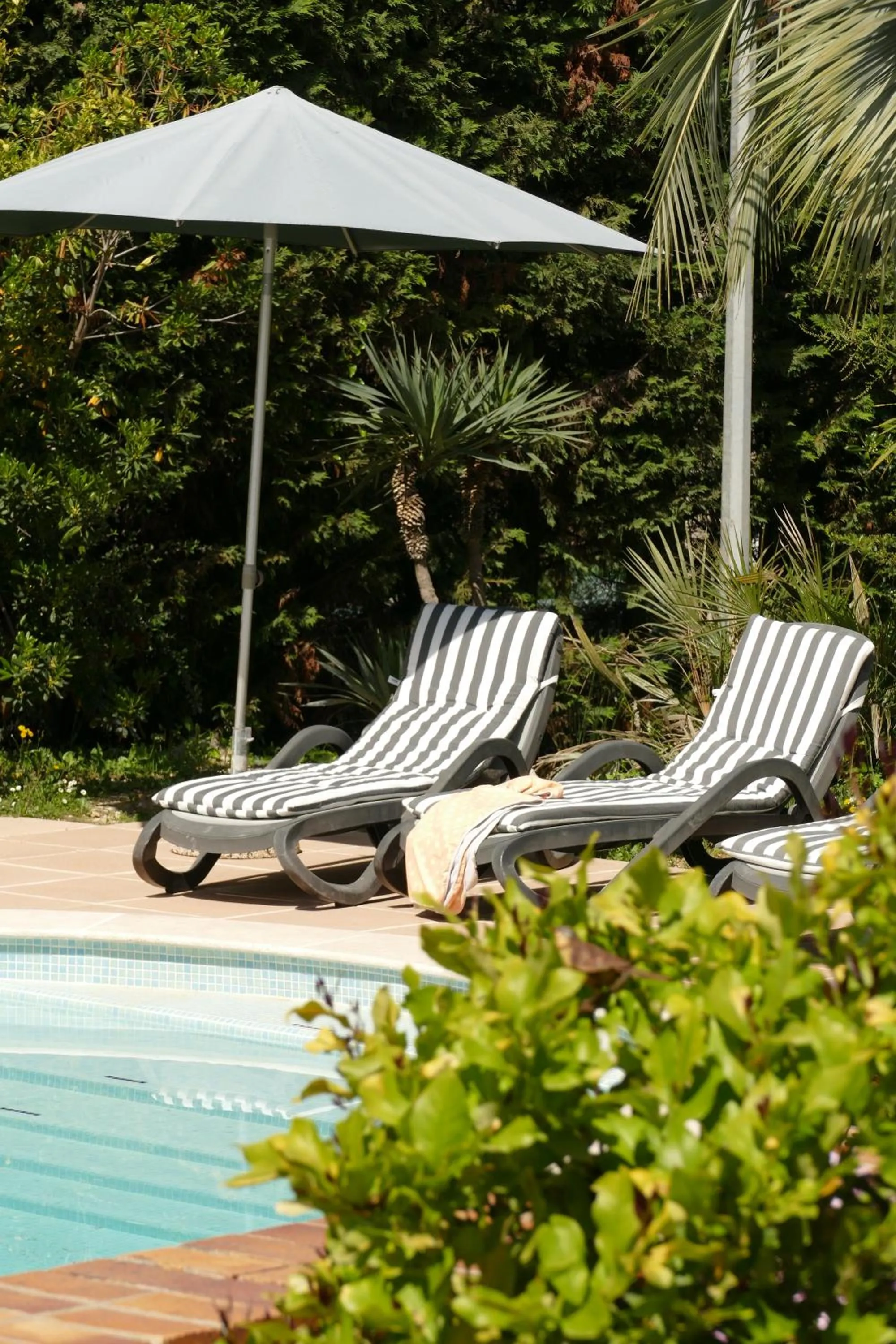Pool view in Villa Alessia