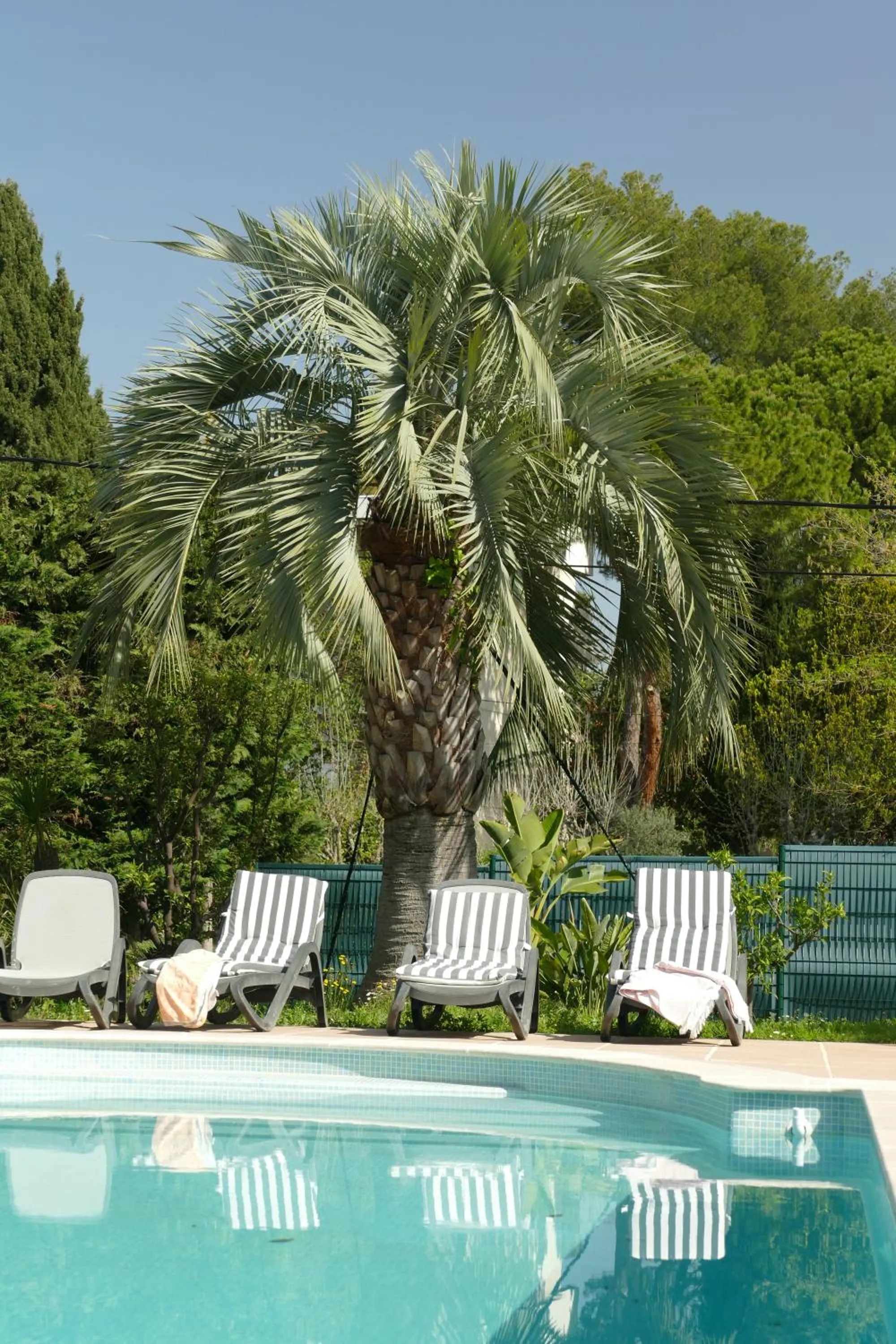 Swimming pool in Villa Alessia