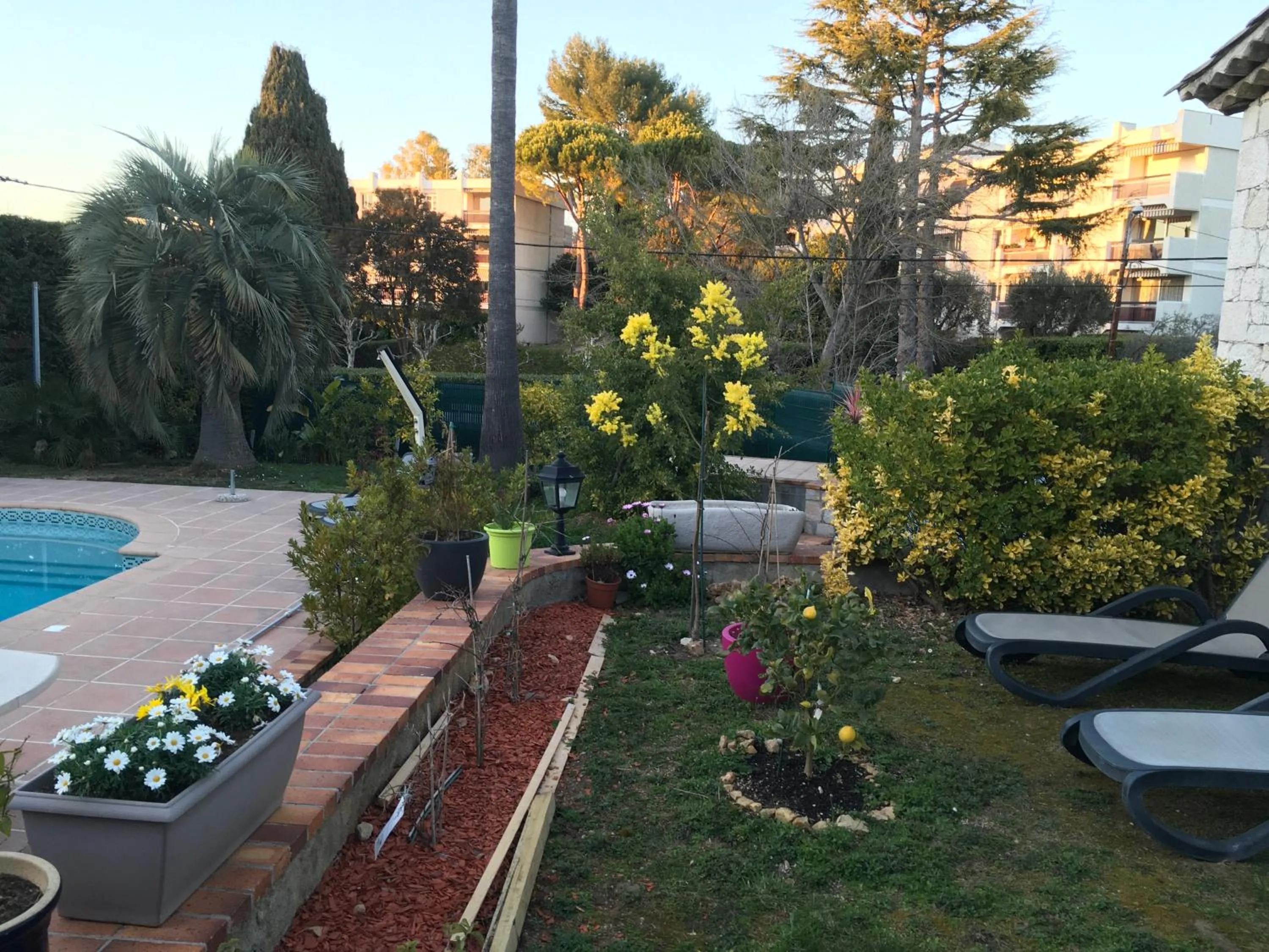 Garden in Villa Alessia