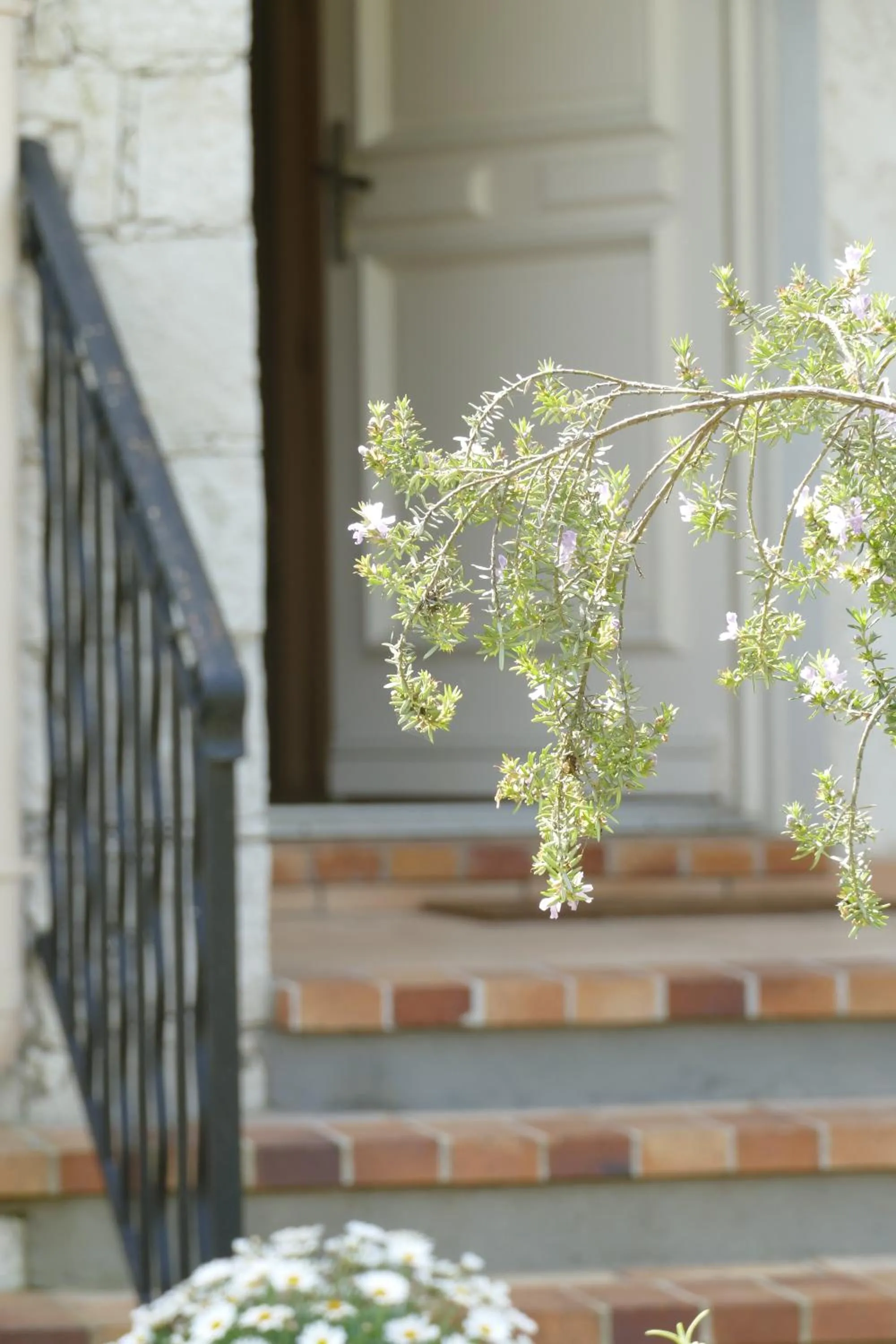 Balcony/Terrace in Villa Alessia