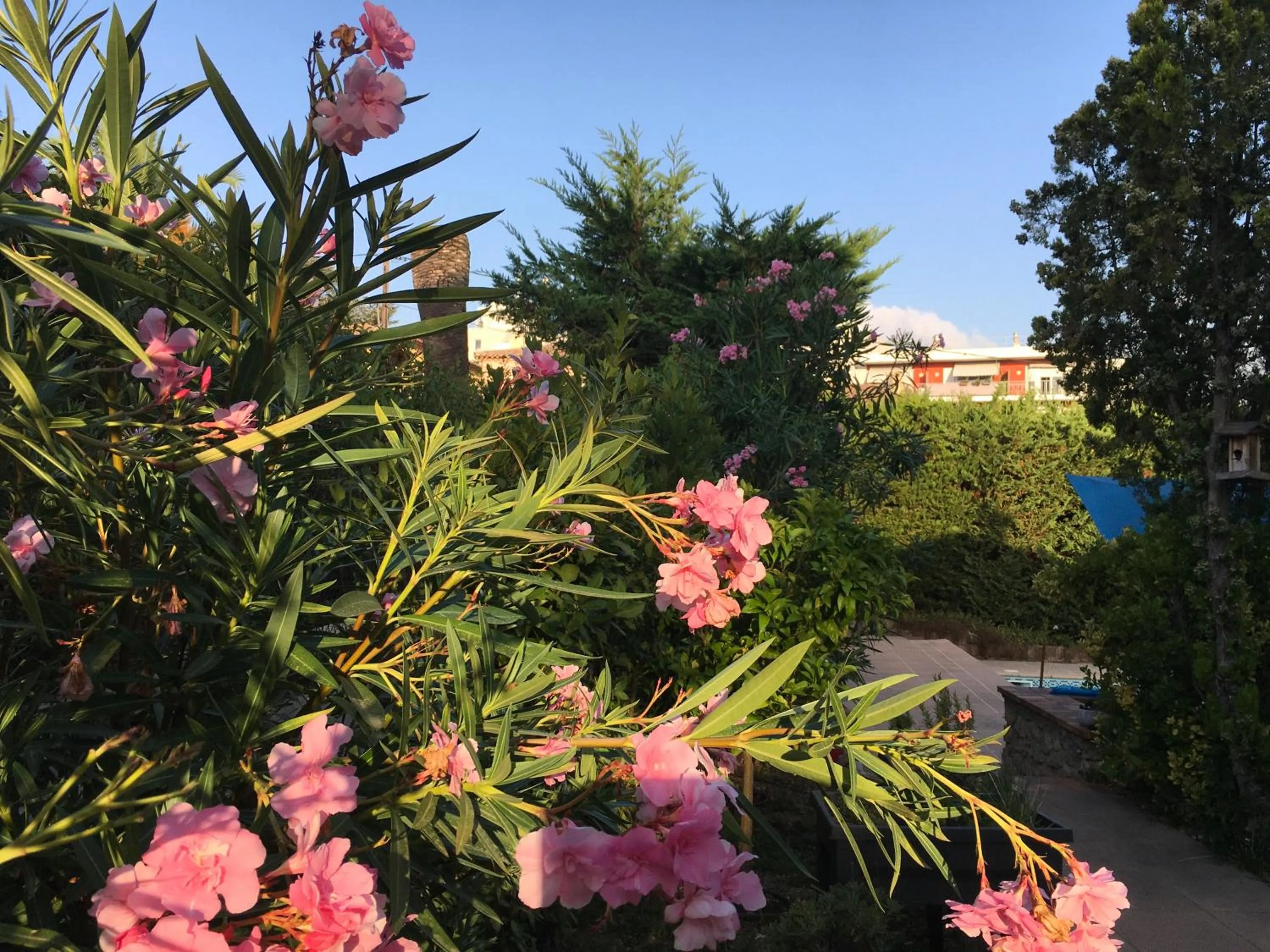 Garden in Villa Alessia