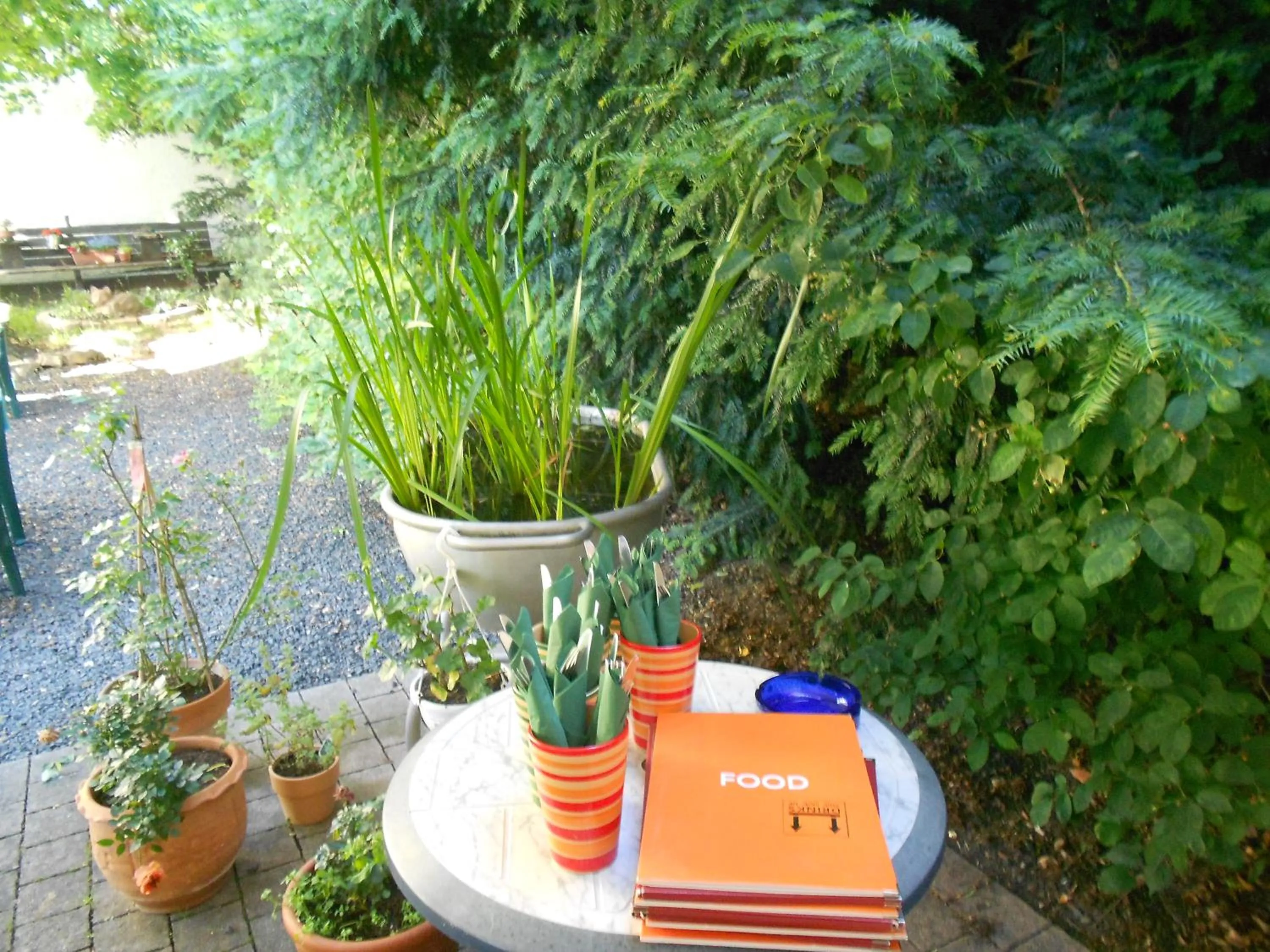 Garden in Hotel Leander