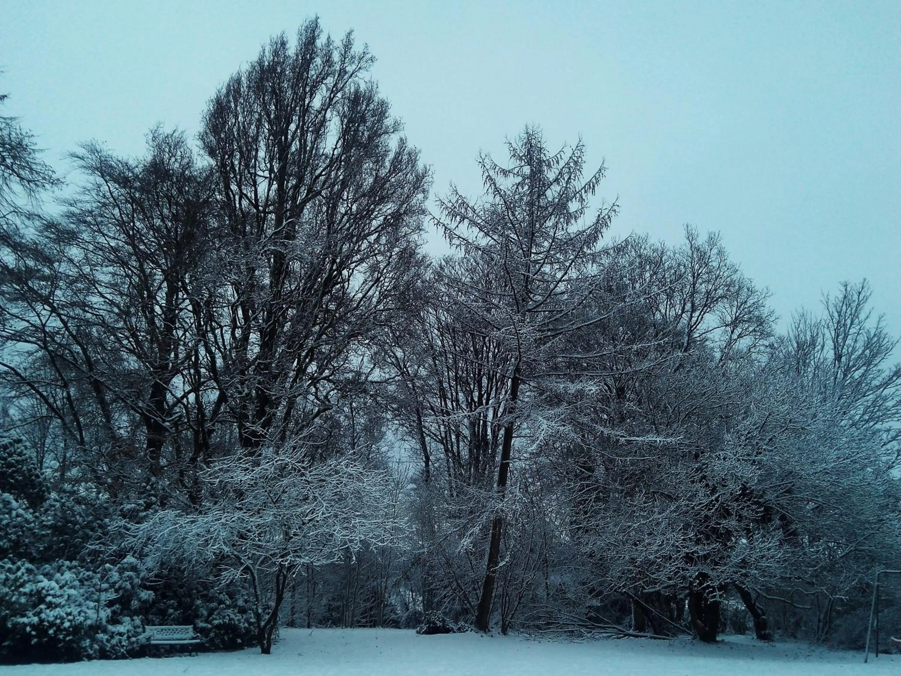 Garden view in B&B Chatelet Cremers