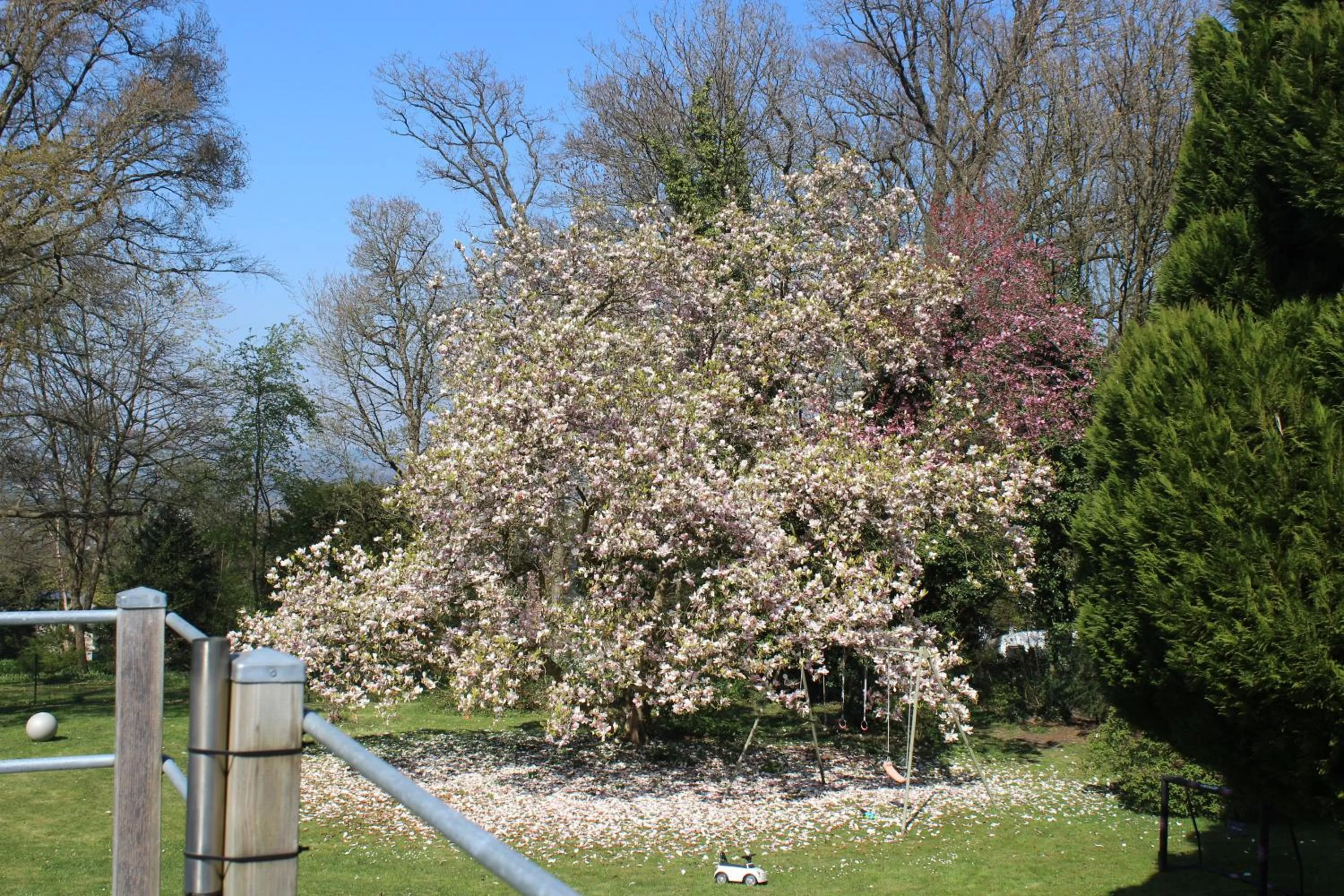 Garden view in B&B Chatelet Cremers