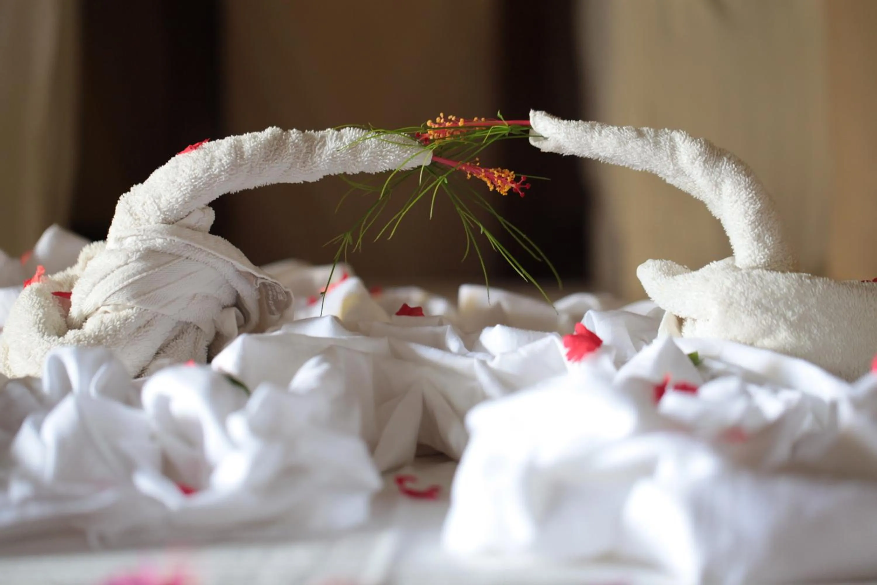 Decorative detail in Zanzibar House Boutique Hotel